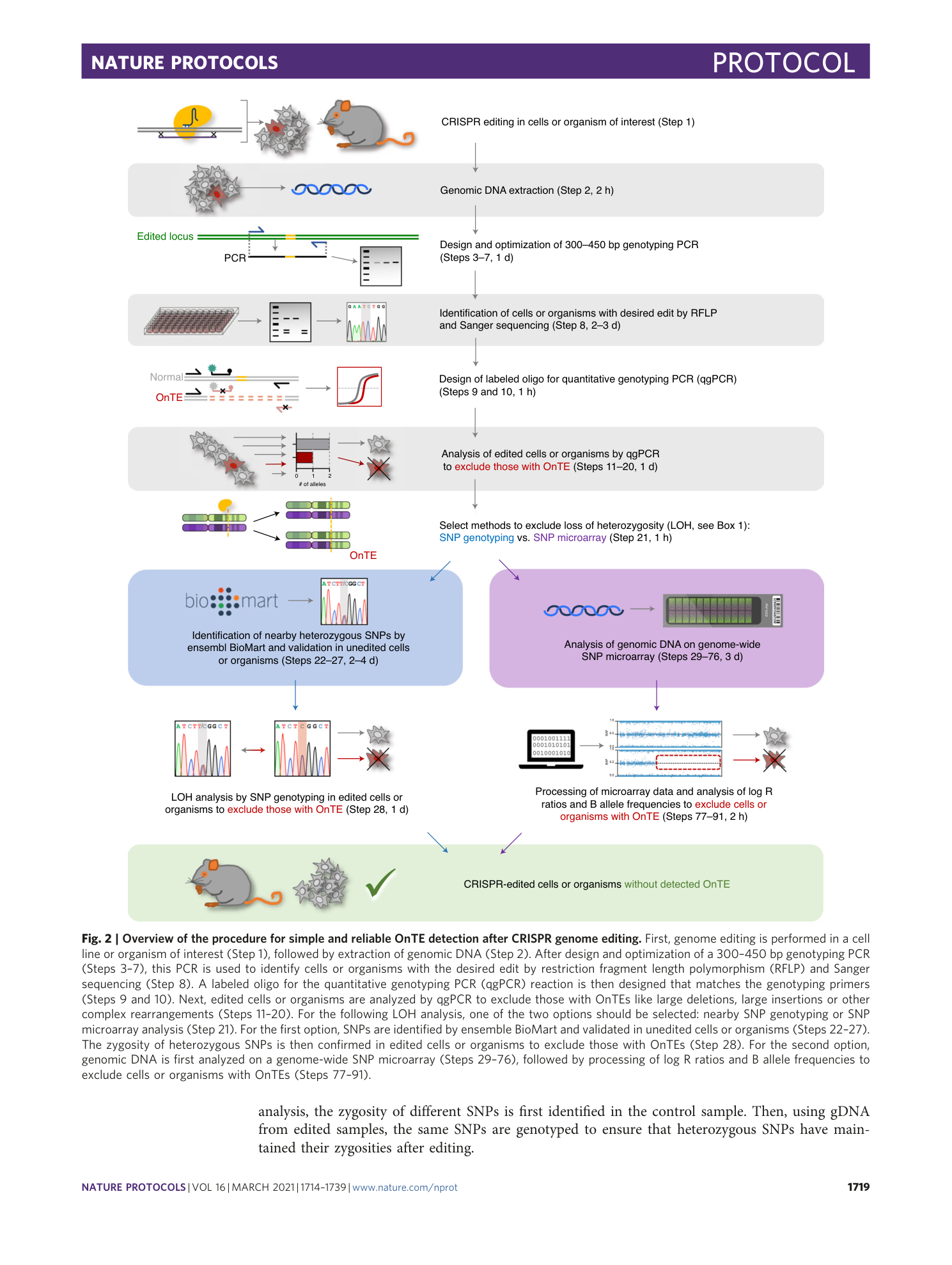 page-6
