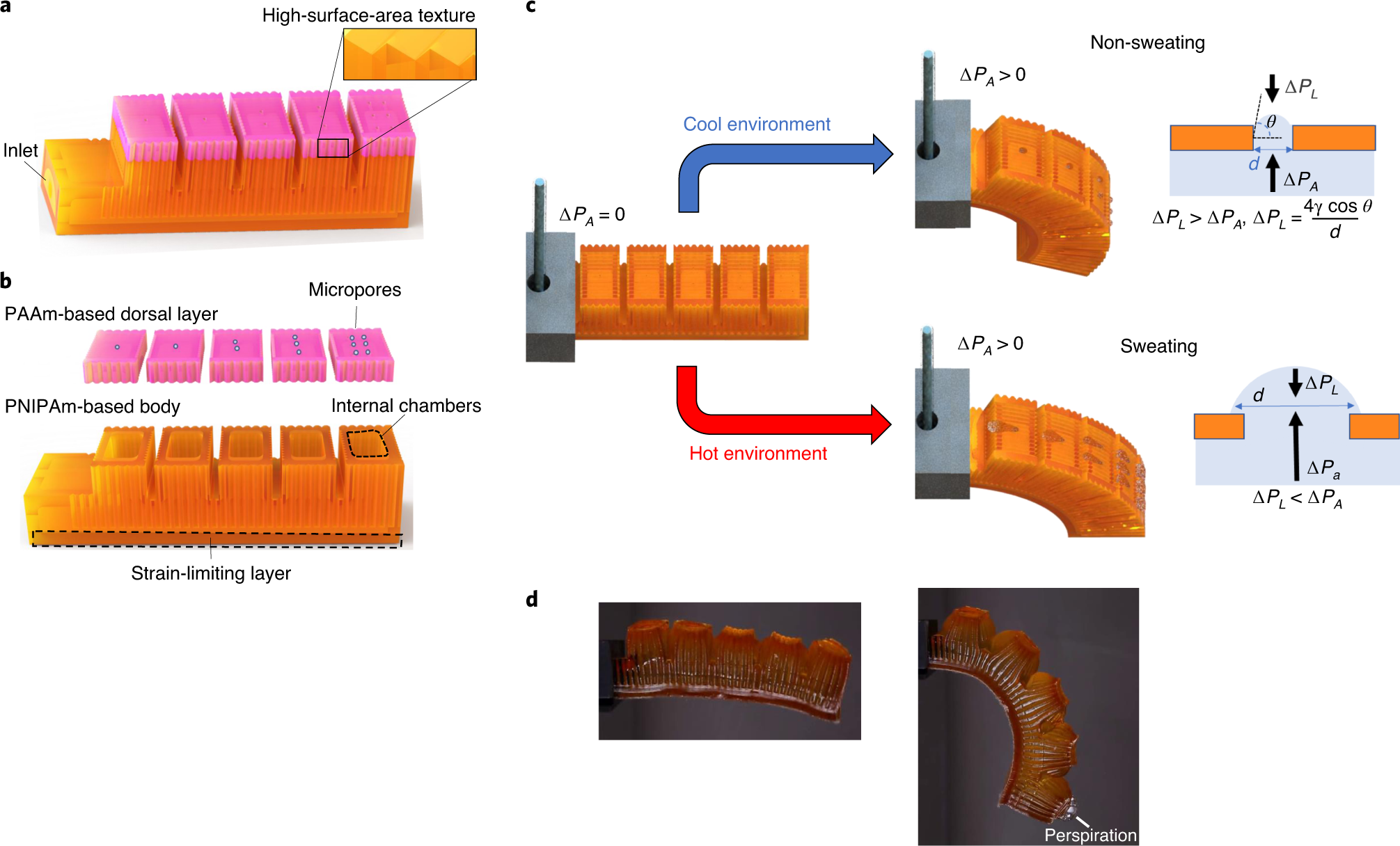 Fig. 1: Bioinspired 3D-printed hydrogel actuator.