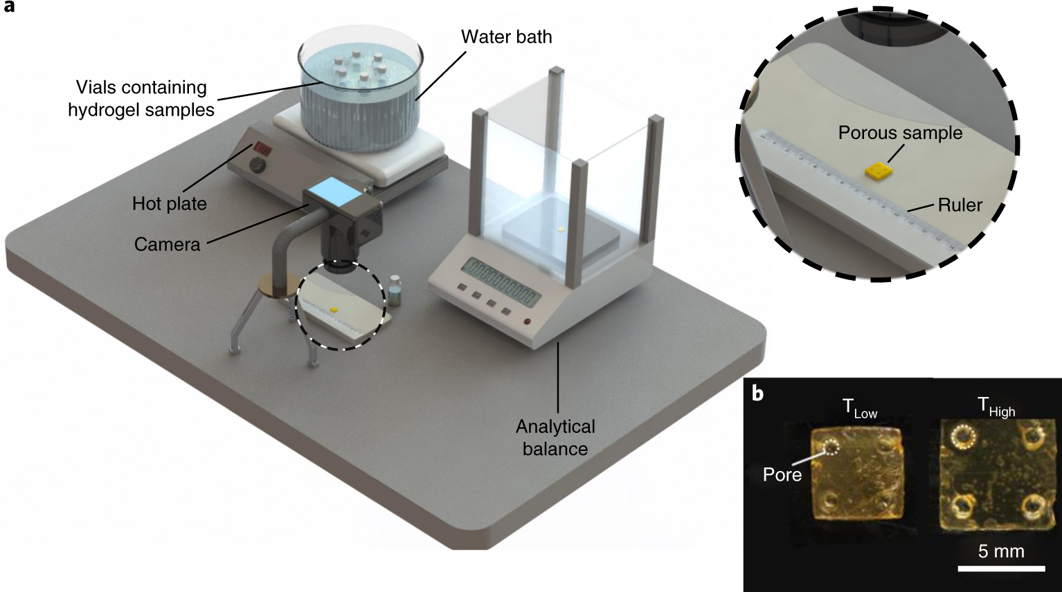 Fig. 2: Characterization of smart pores.