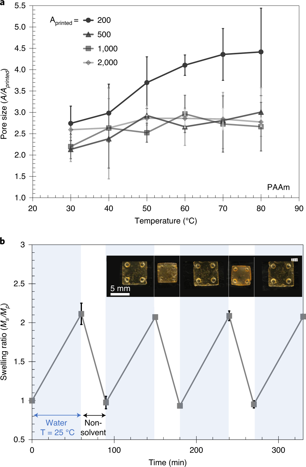 Fig. 5: Dynamic response of hydrogel pores.