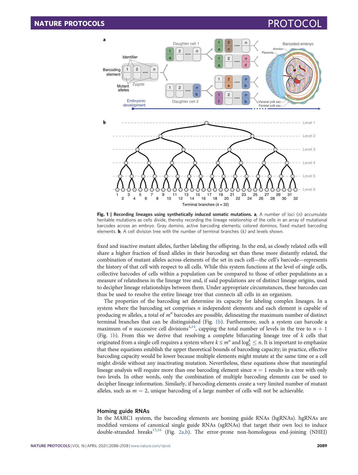 page-2
