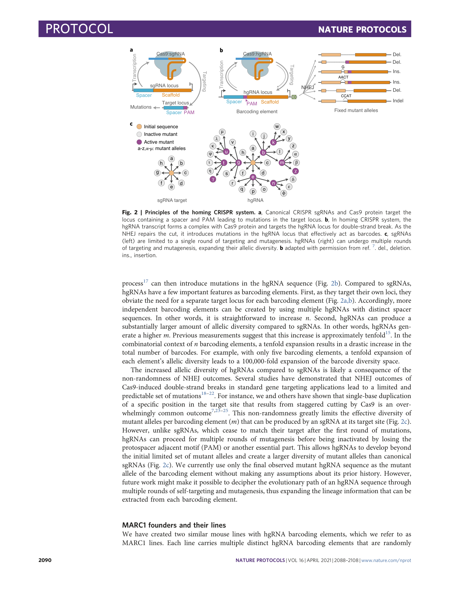 page-3