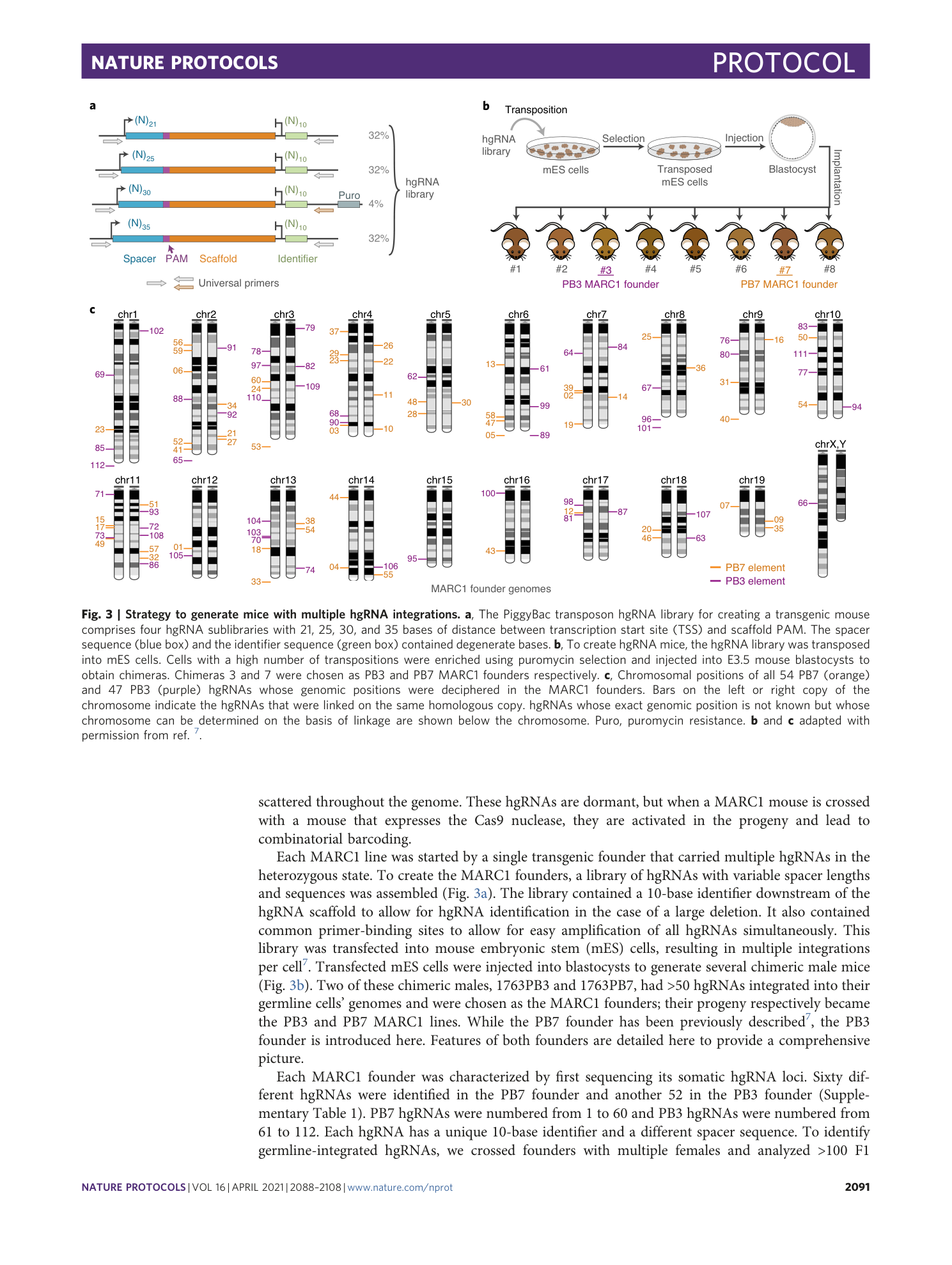 page-4