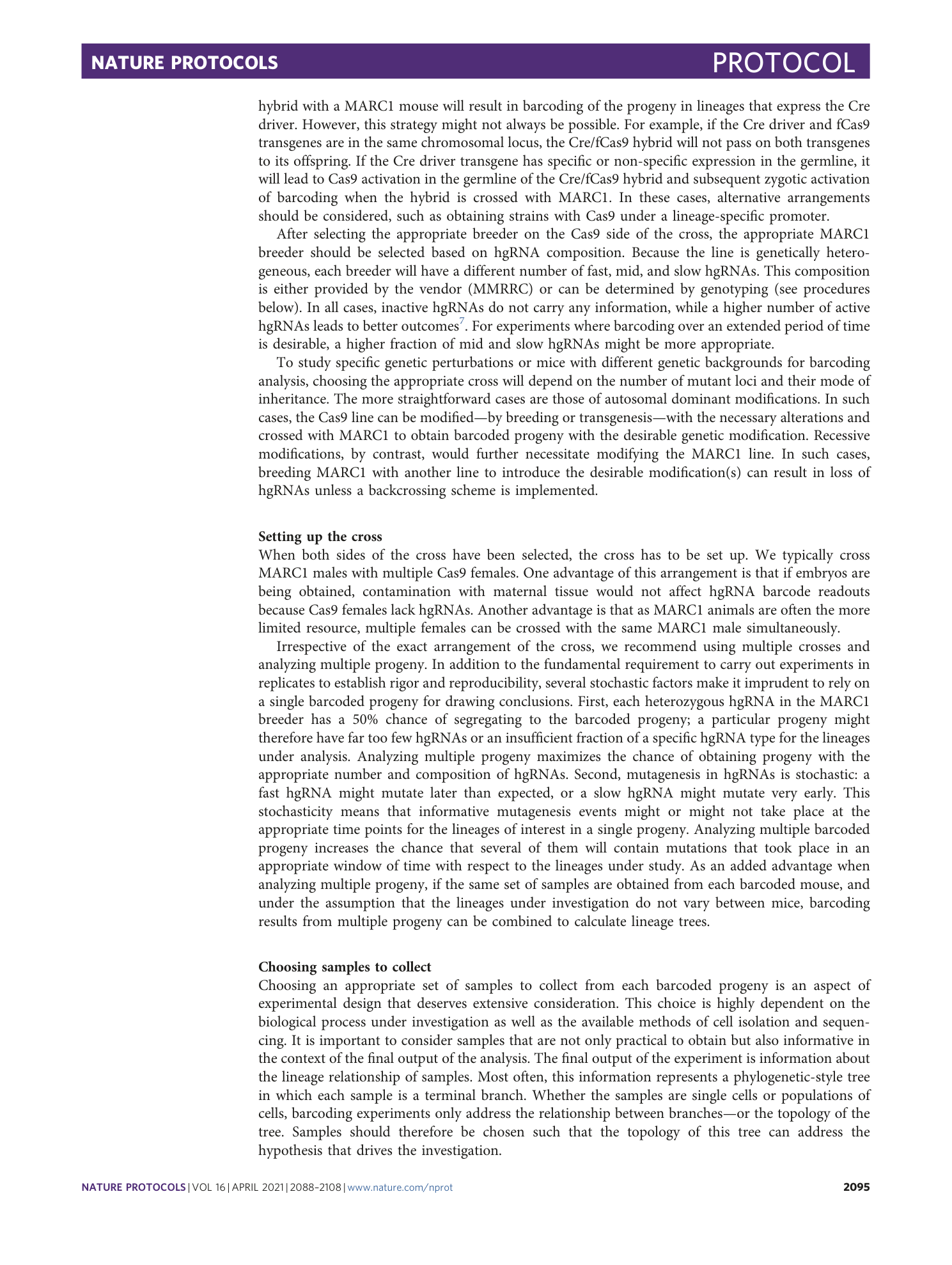 page-8