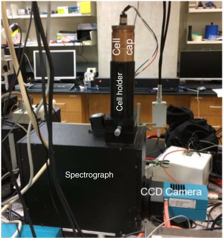 Fig. 11