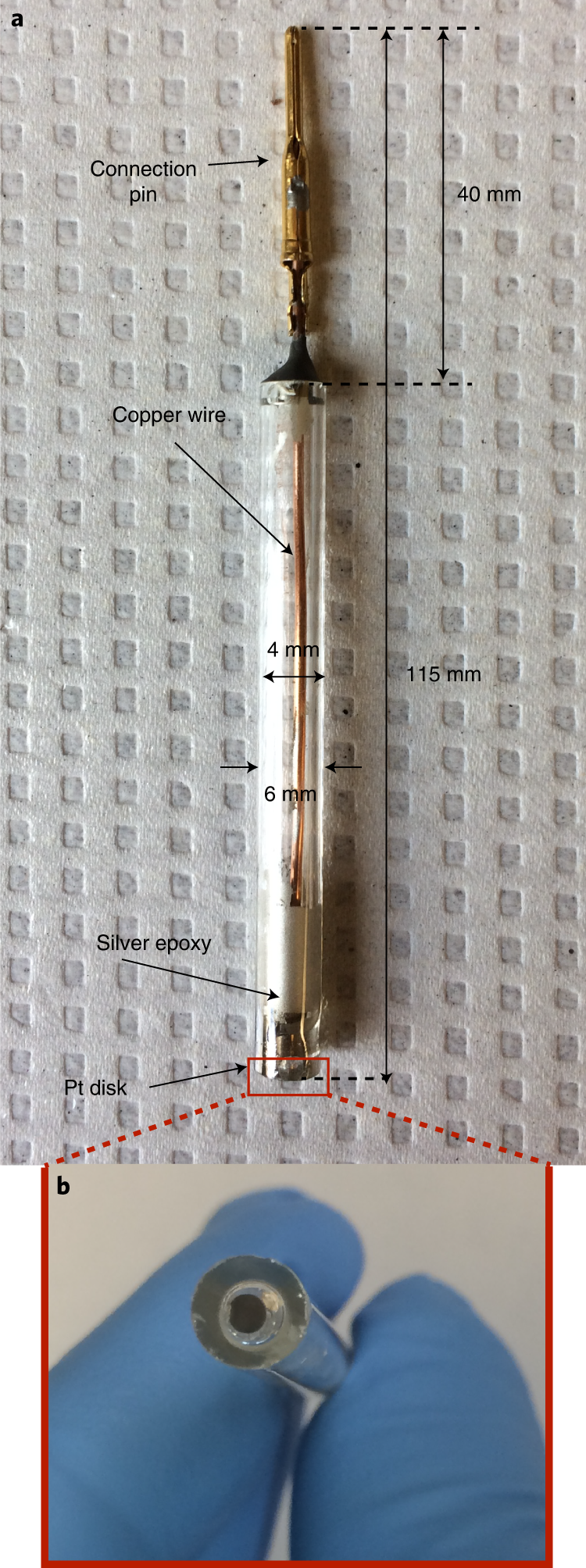 Fig. 3: Photograph of a typical platinum working electrode.