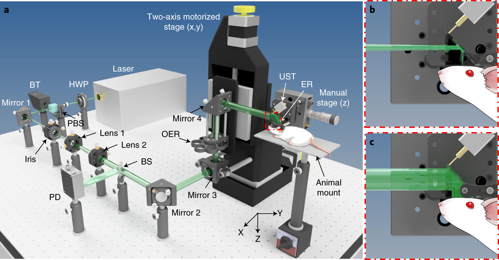 Fig. 1: Schematic of the PATER system (drawn not to scale for clarity).