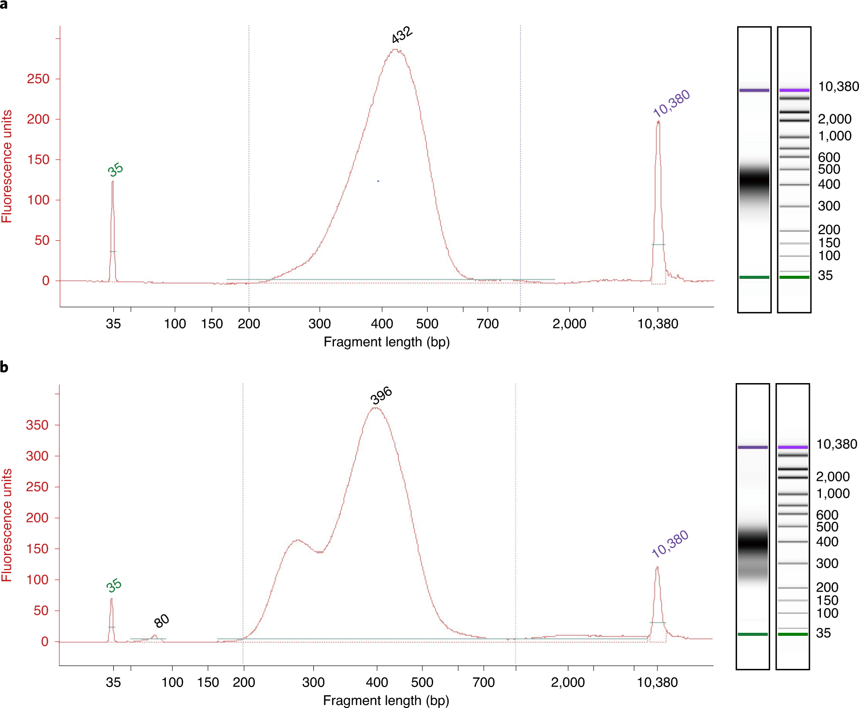 Fig. 4: Size distribution of example Hammer-seq libraries determined with a bioanalyzer.