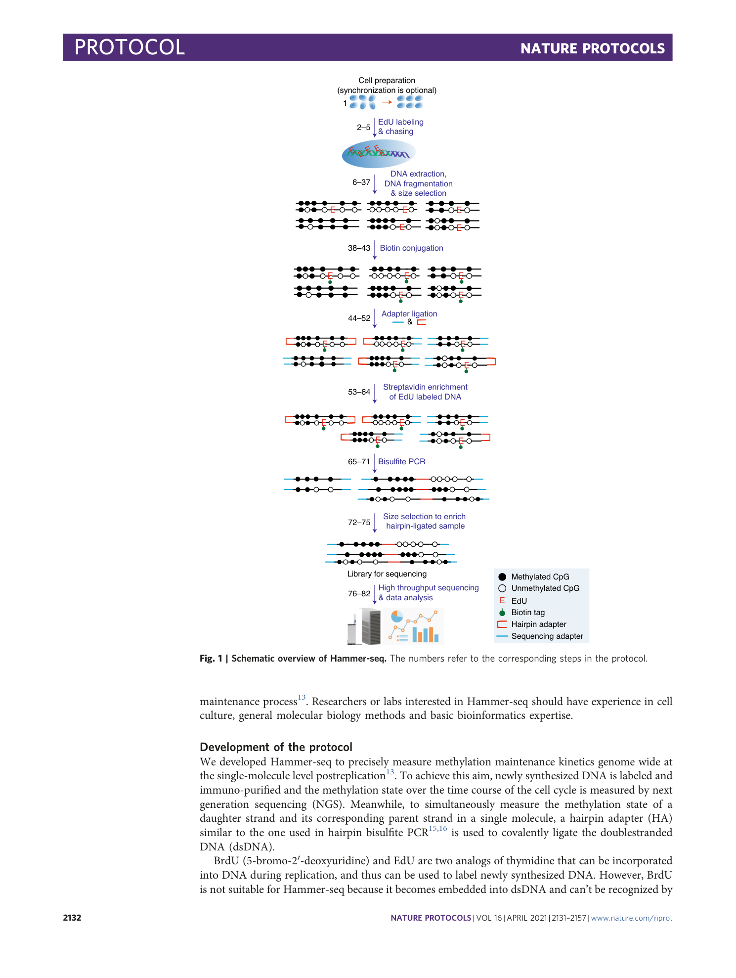 page-2