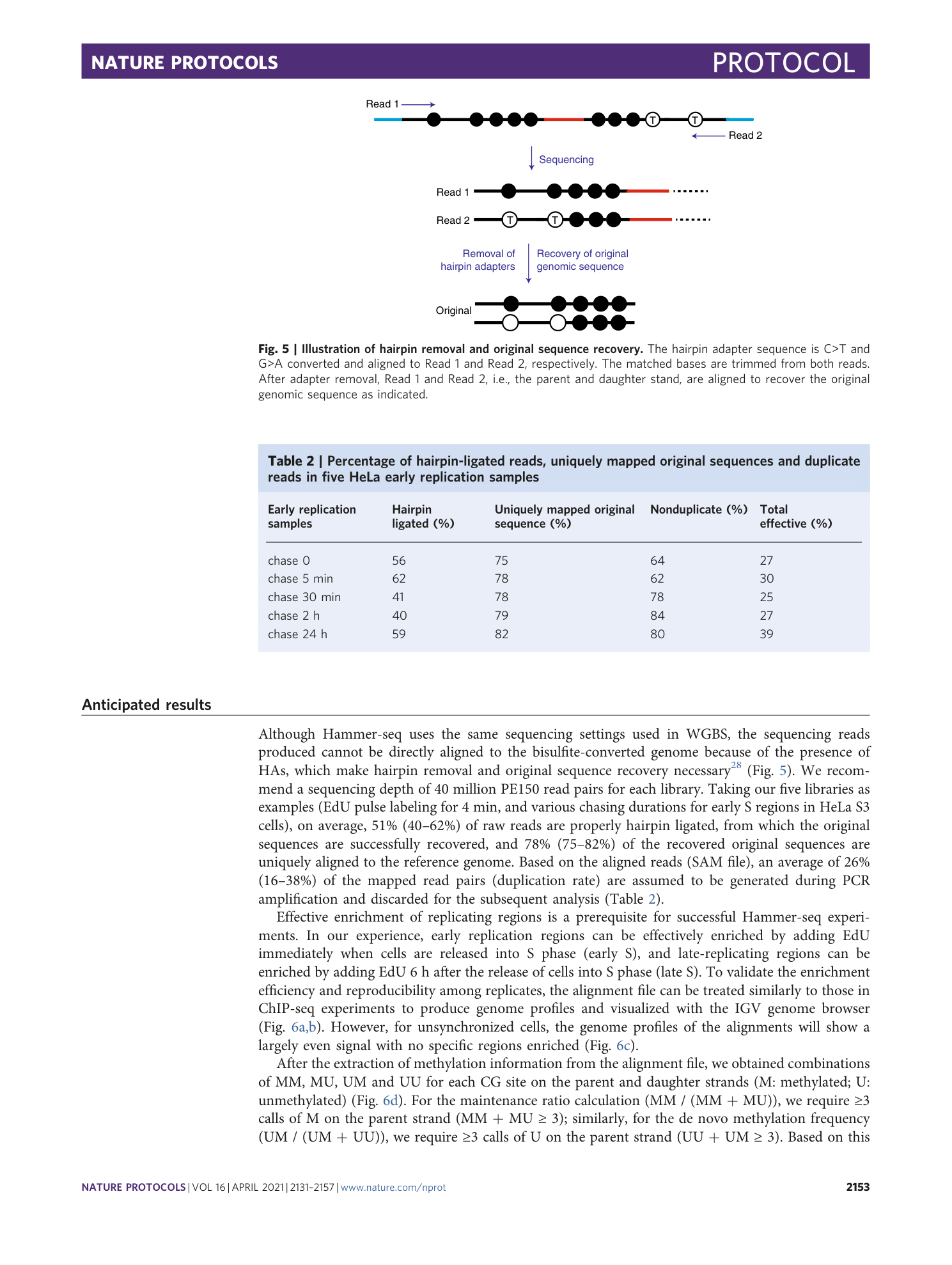 page-23