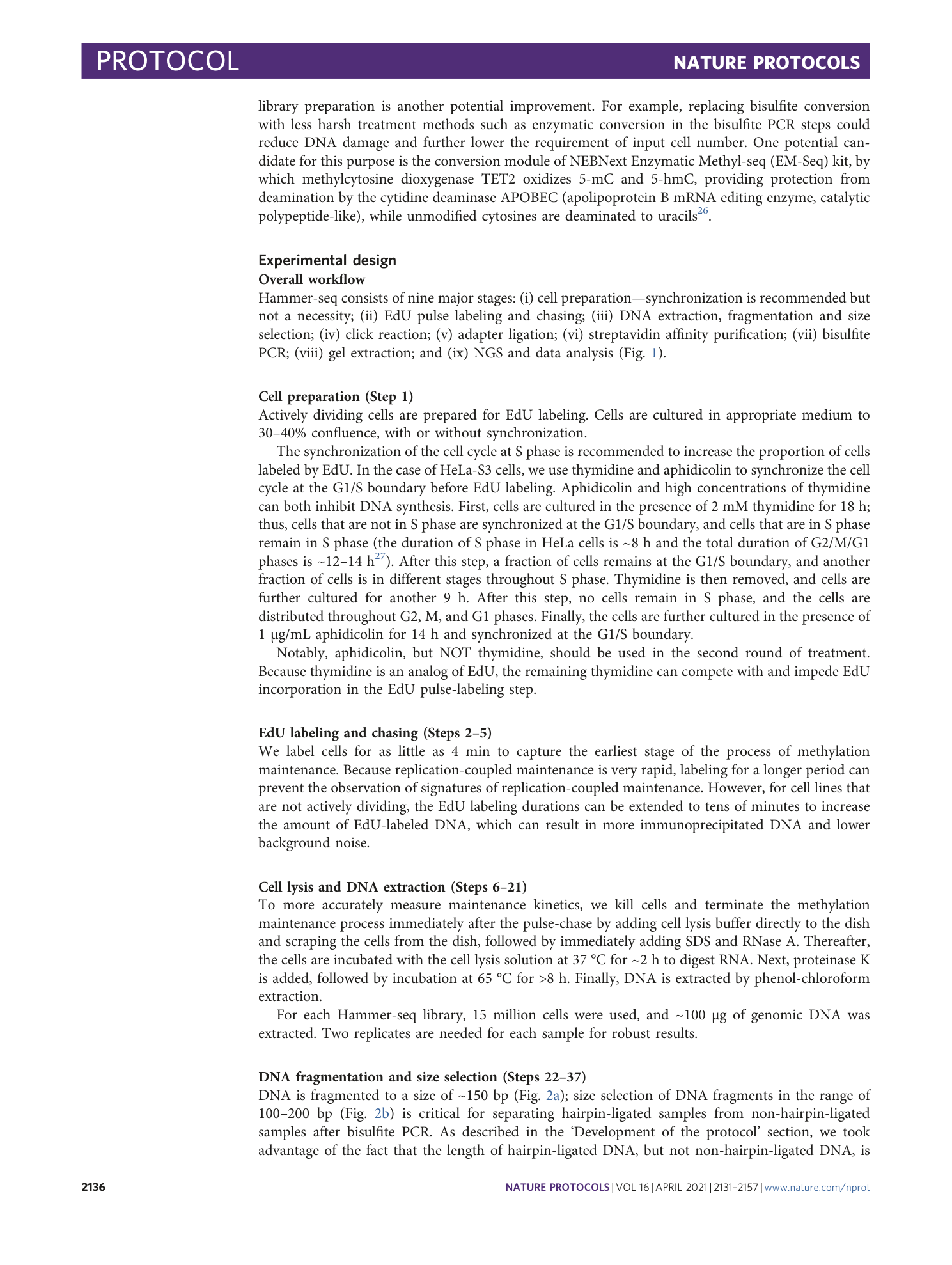 page-6