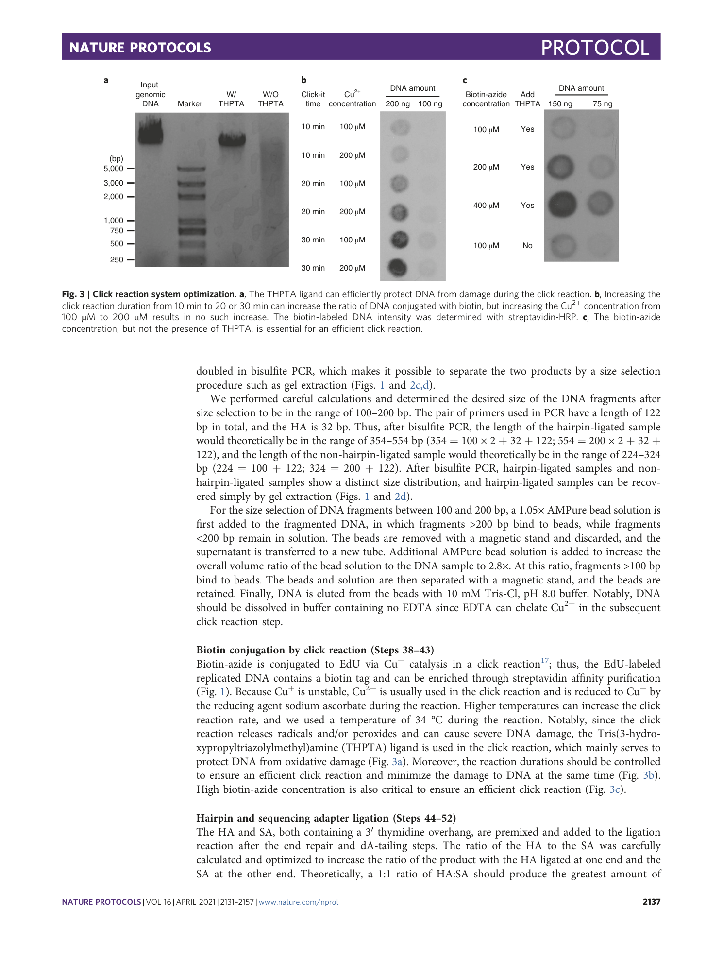 page-7