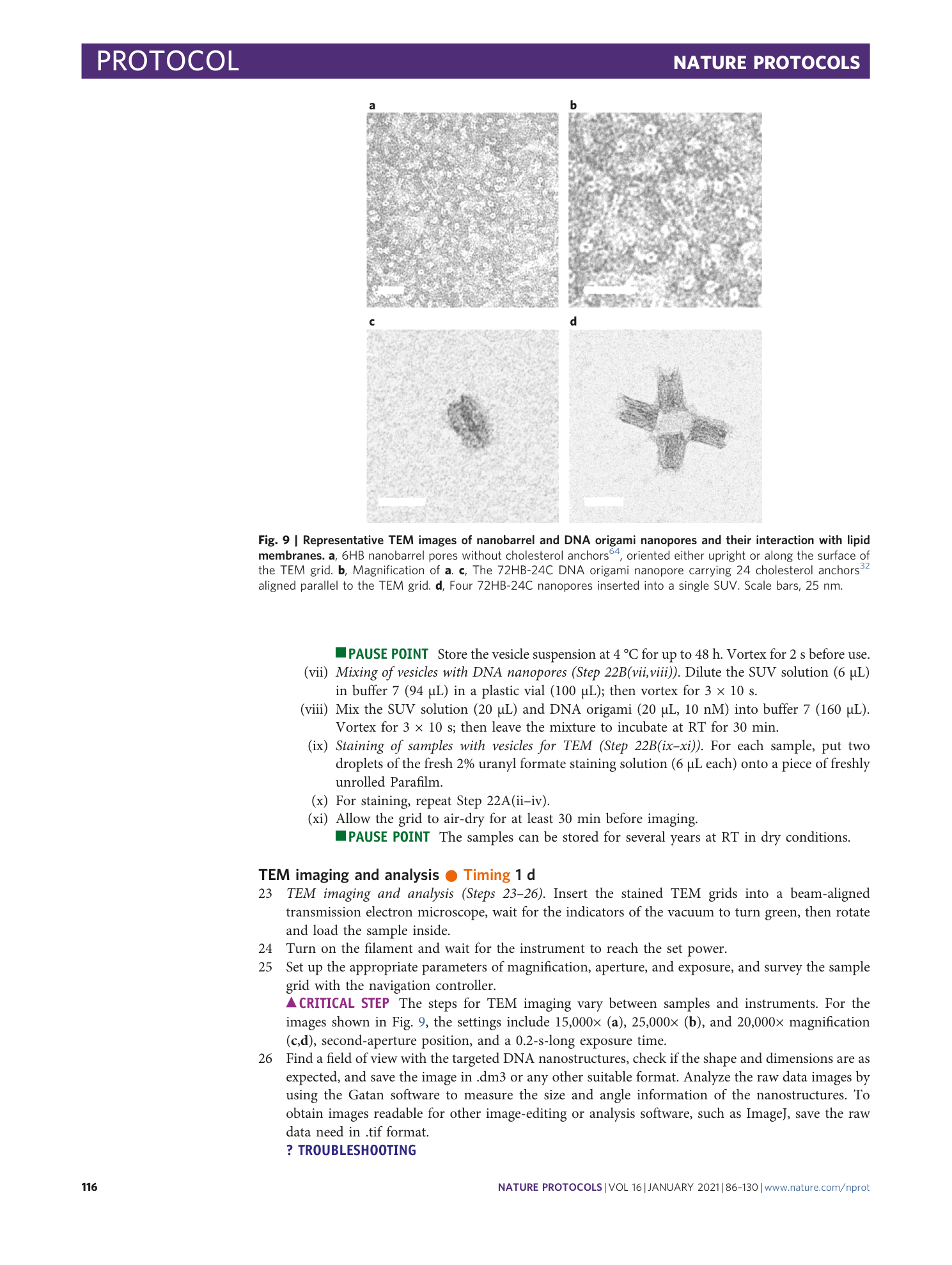 page-31