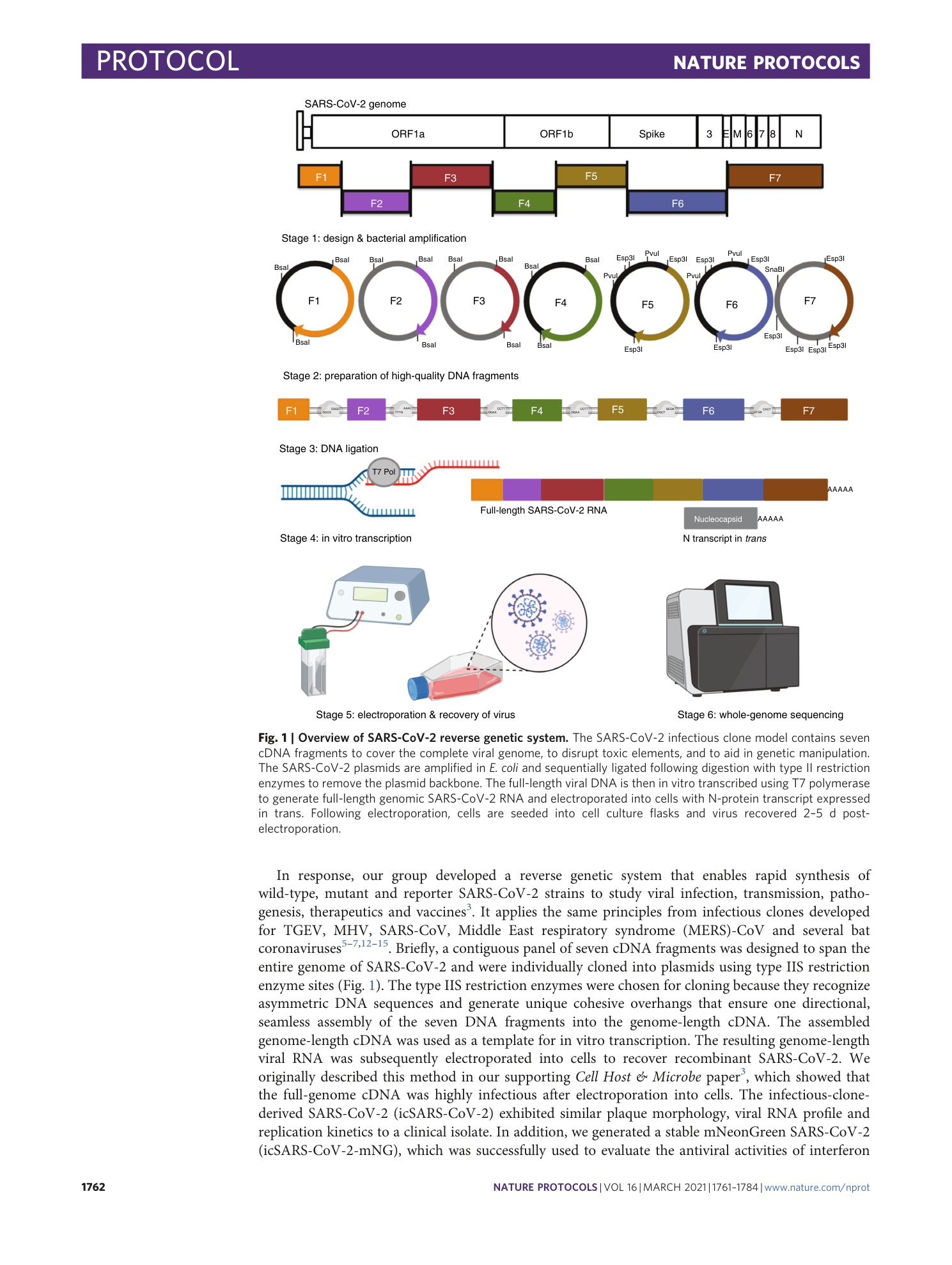 page-2