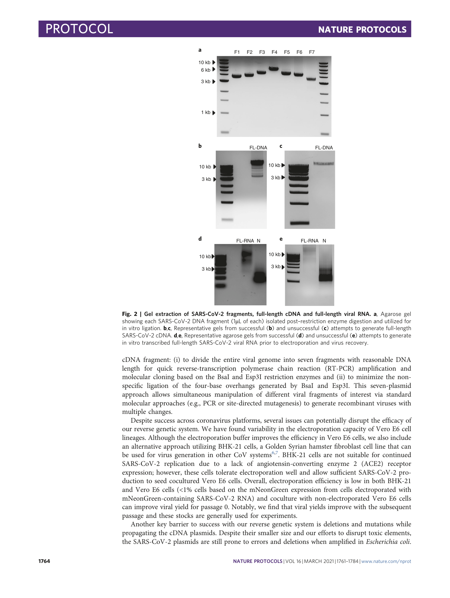 page-4