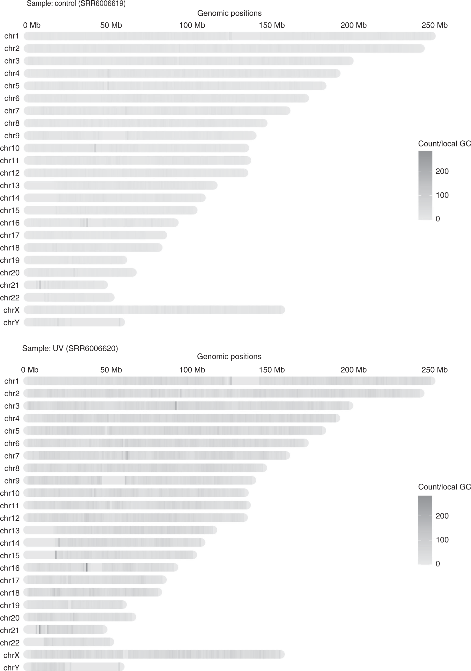 Fig. 4: Graphic output of Step 11 to show genome-wide CPD damage site distribution.