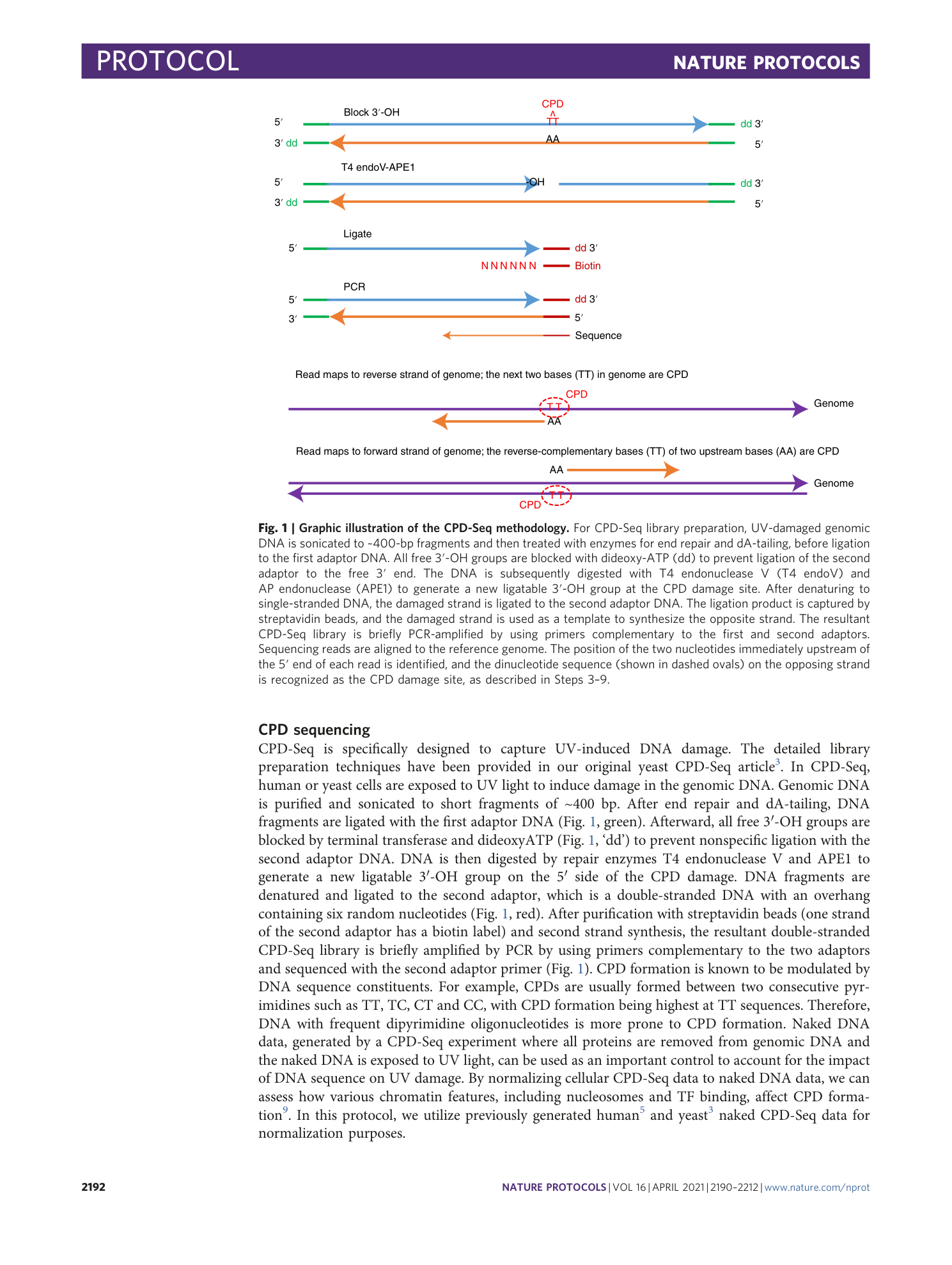 page-3