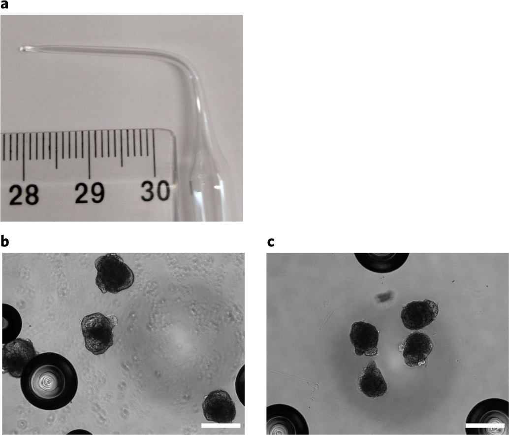 Fig. 8: Overview of correct Seahorse plating conditions.