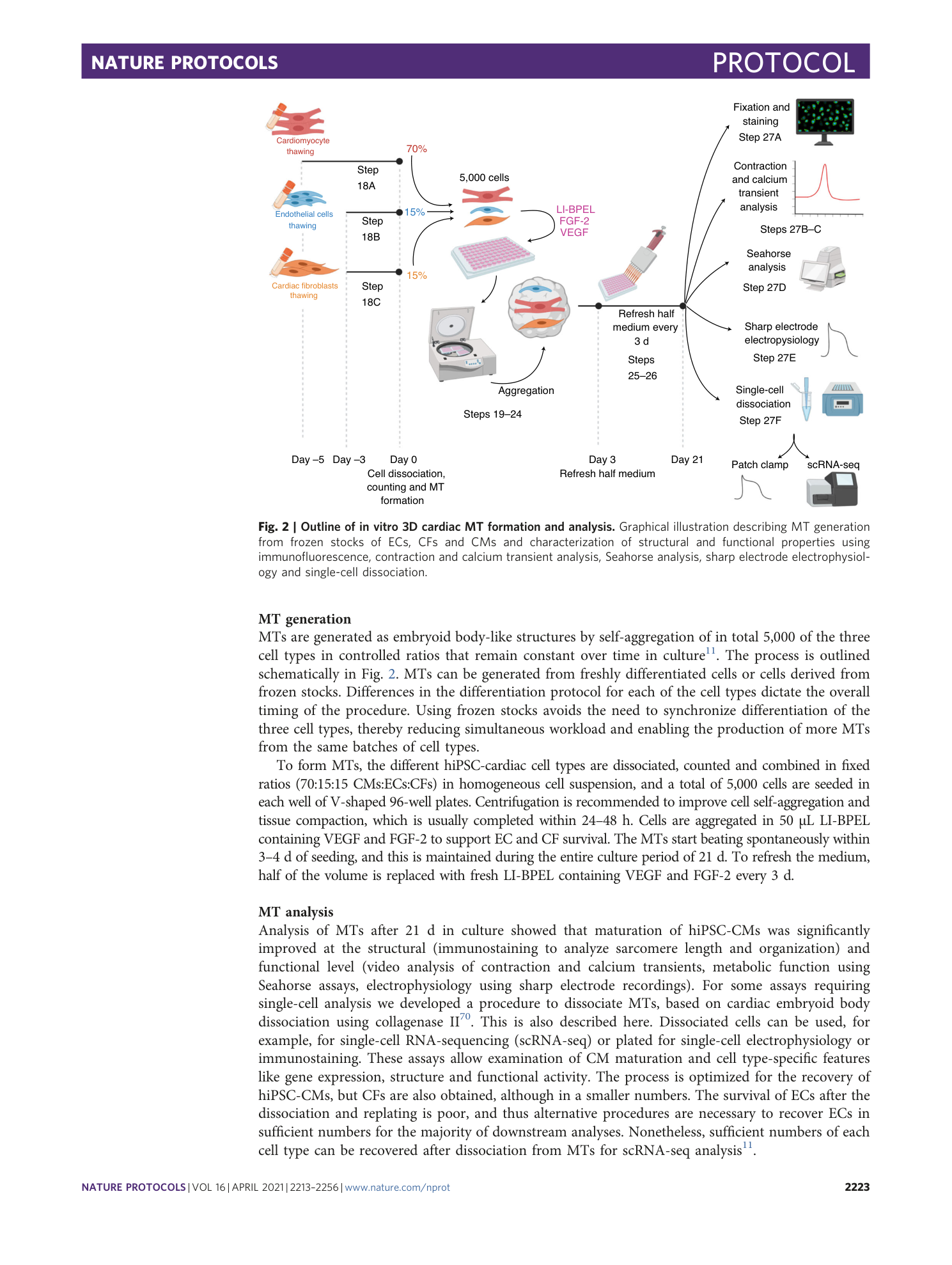 page-11