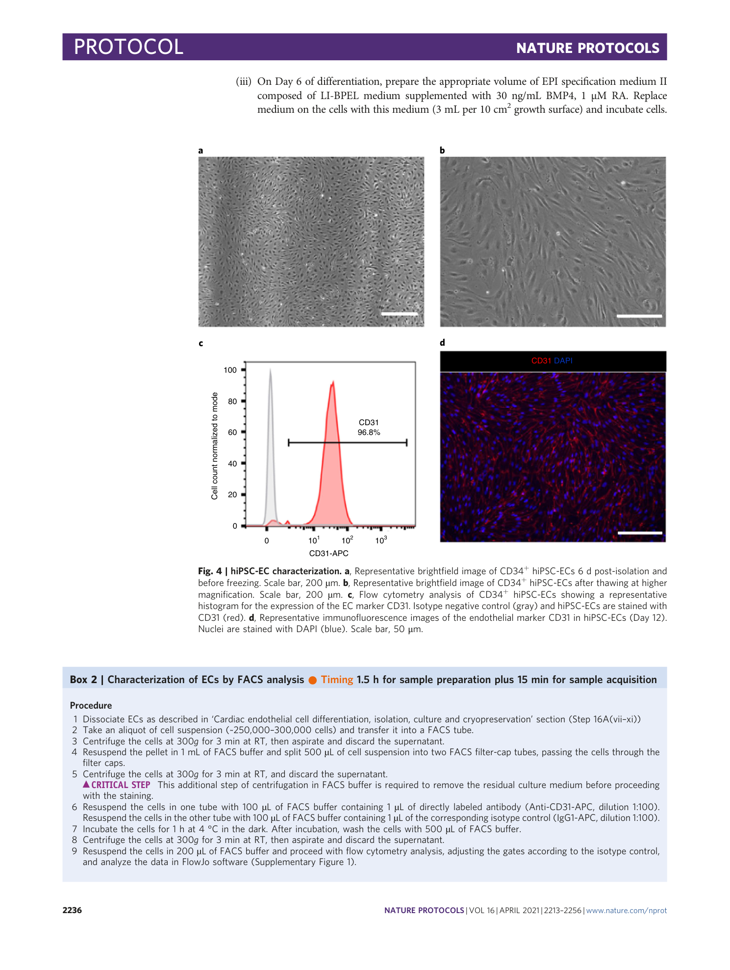 page-24