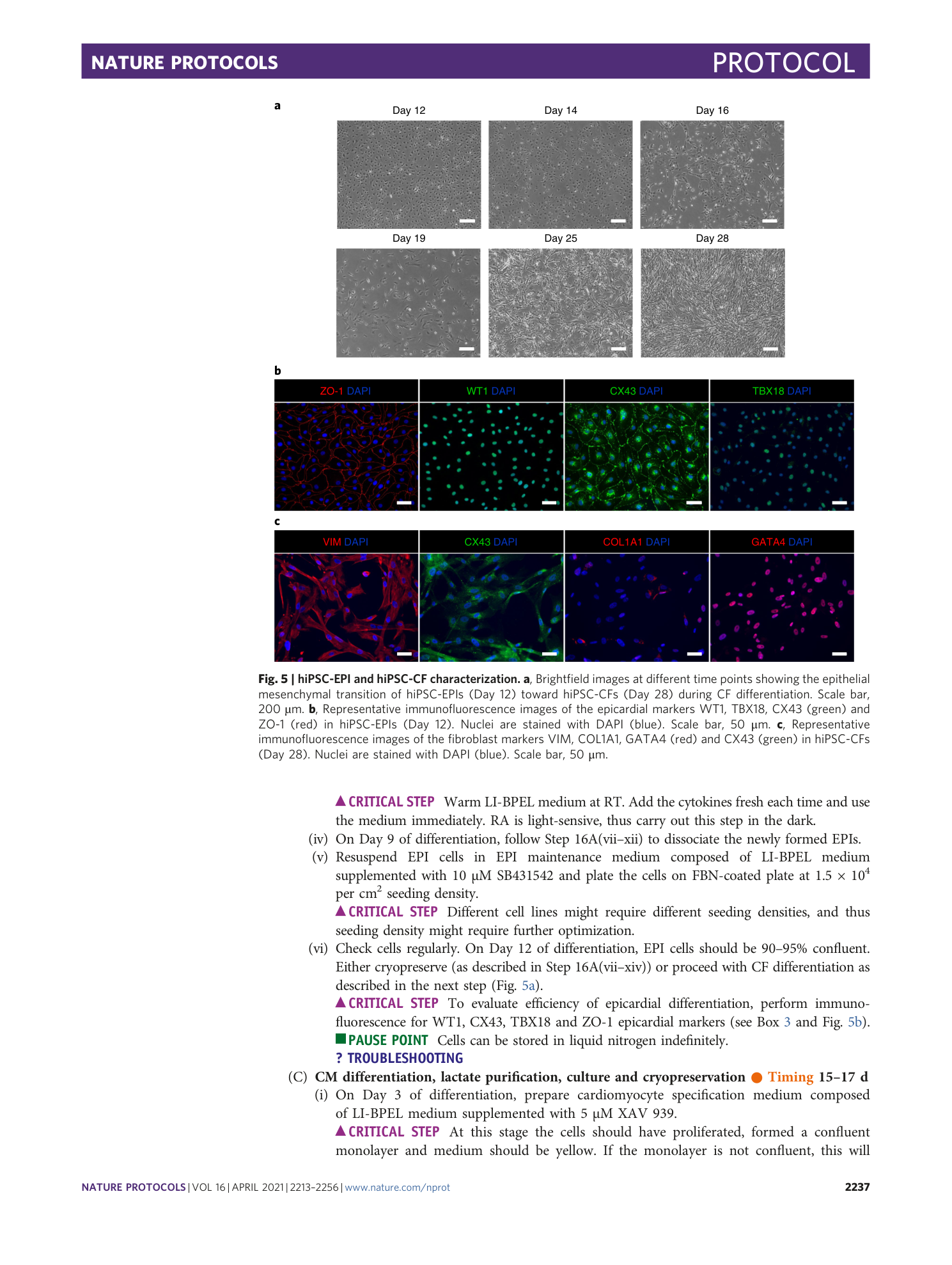 page-25