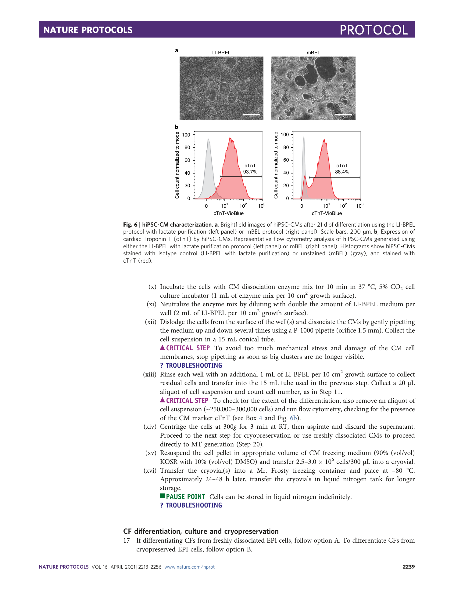 page-27