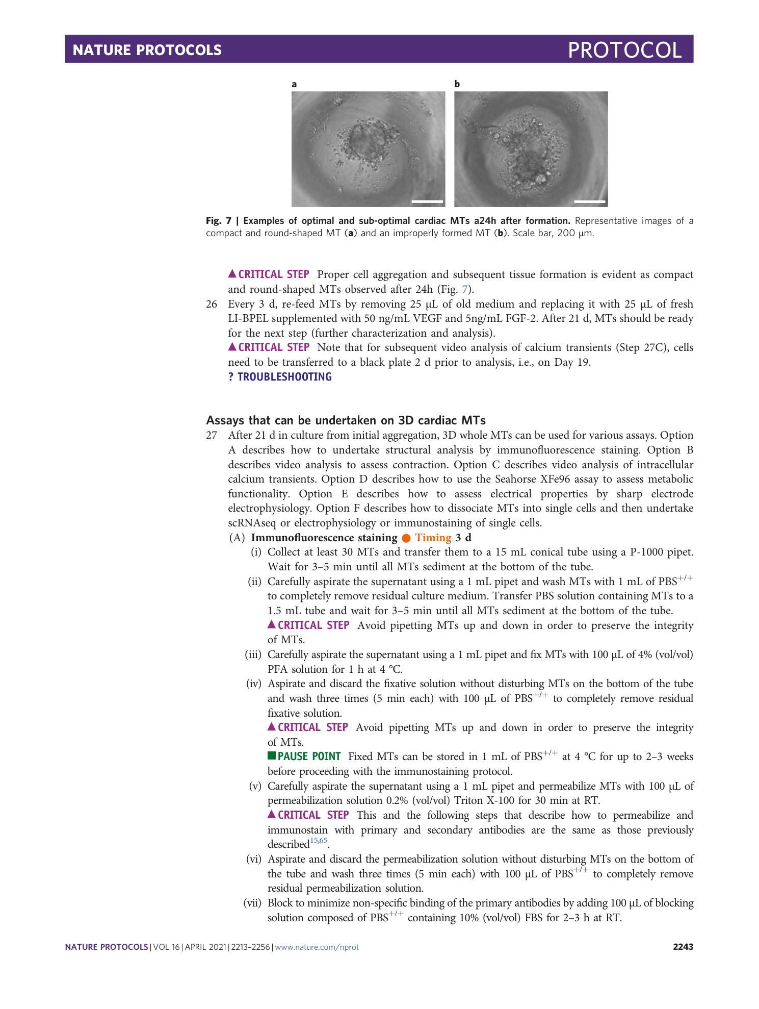 page-31