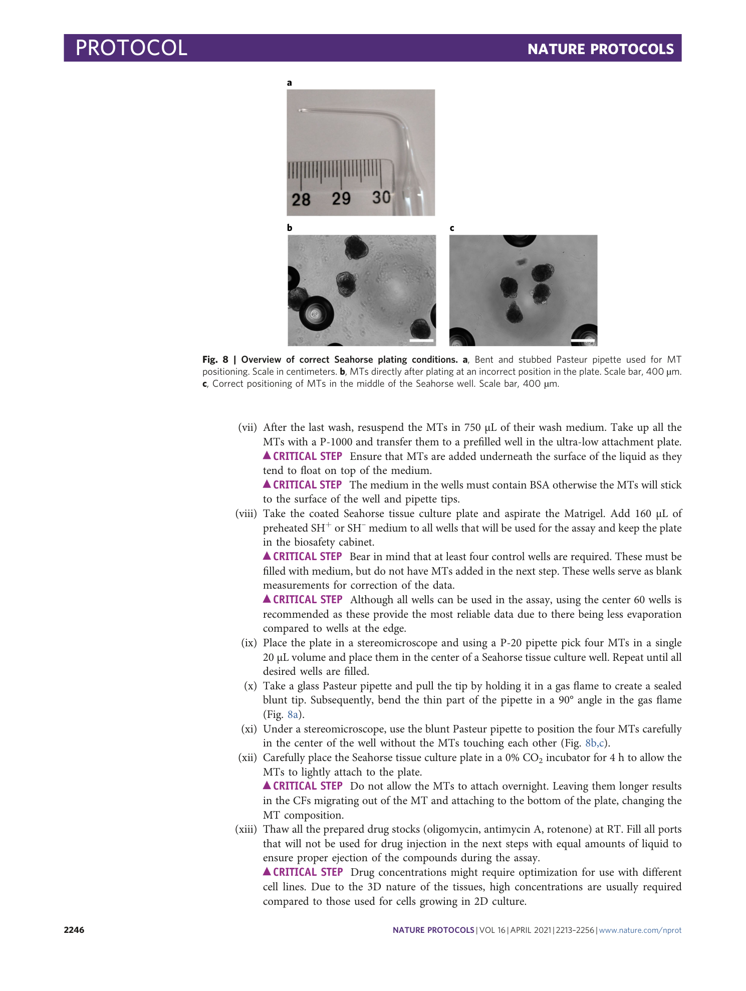 page-34