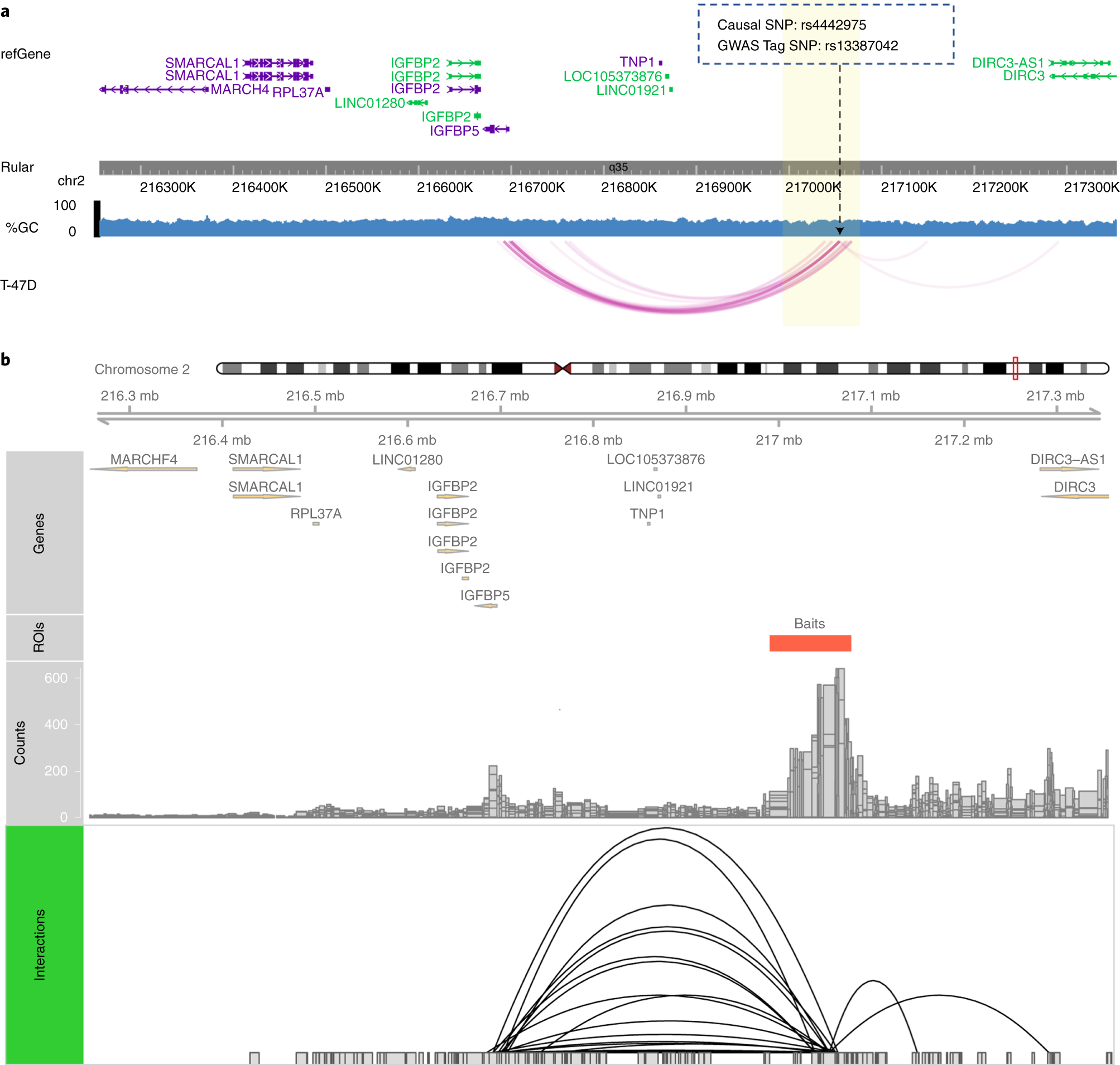 Fig. 6: Visualizing interaction peaks.
