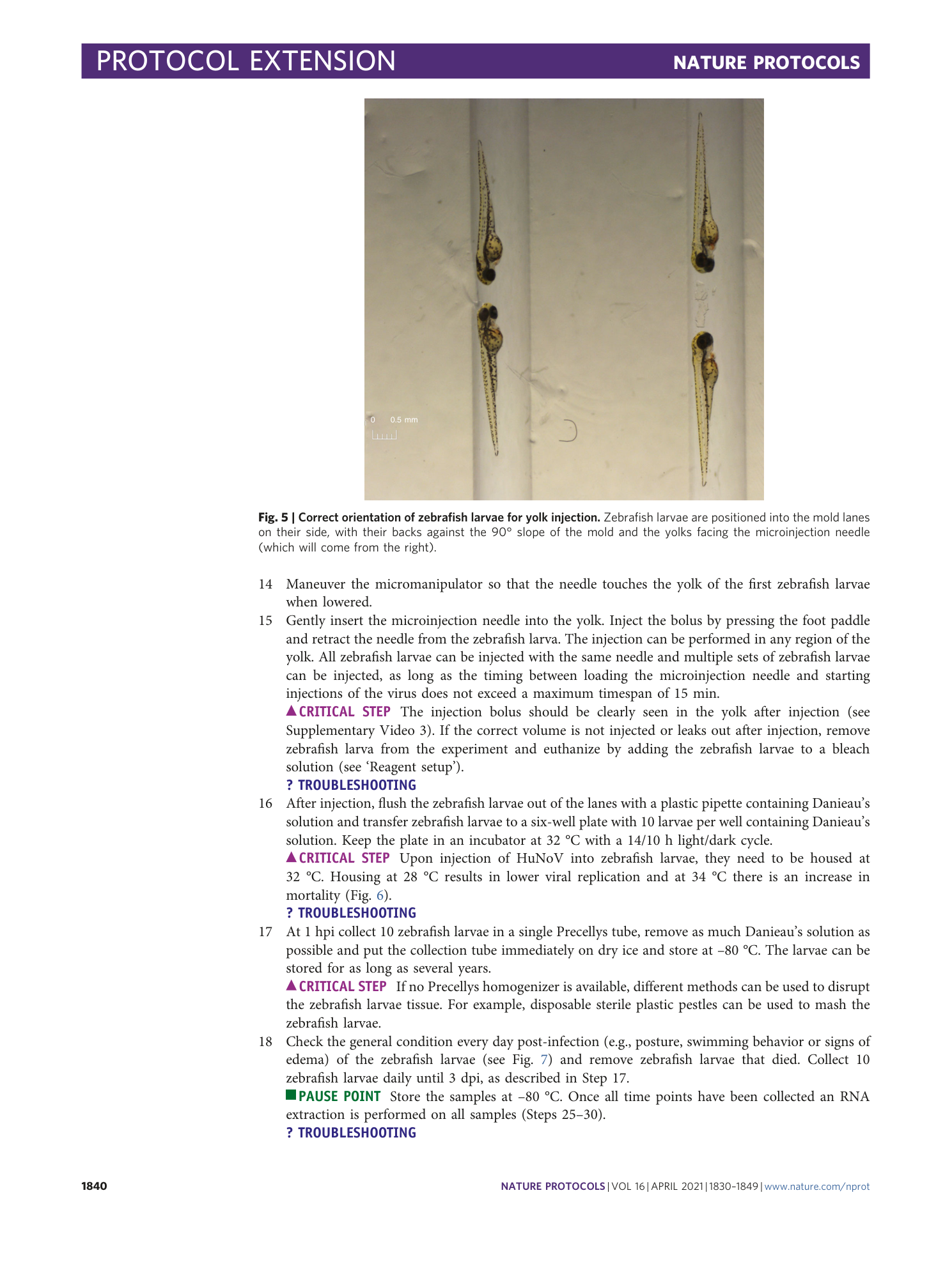 page-11