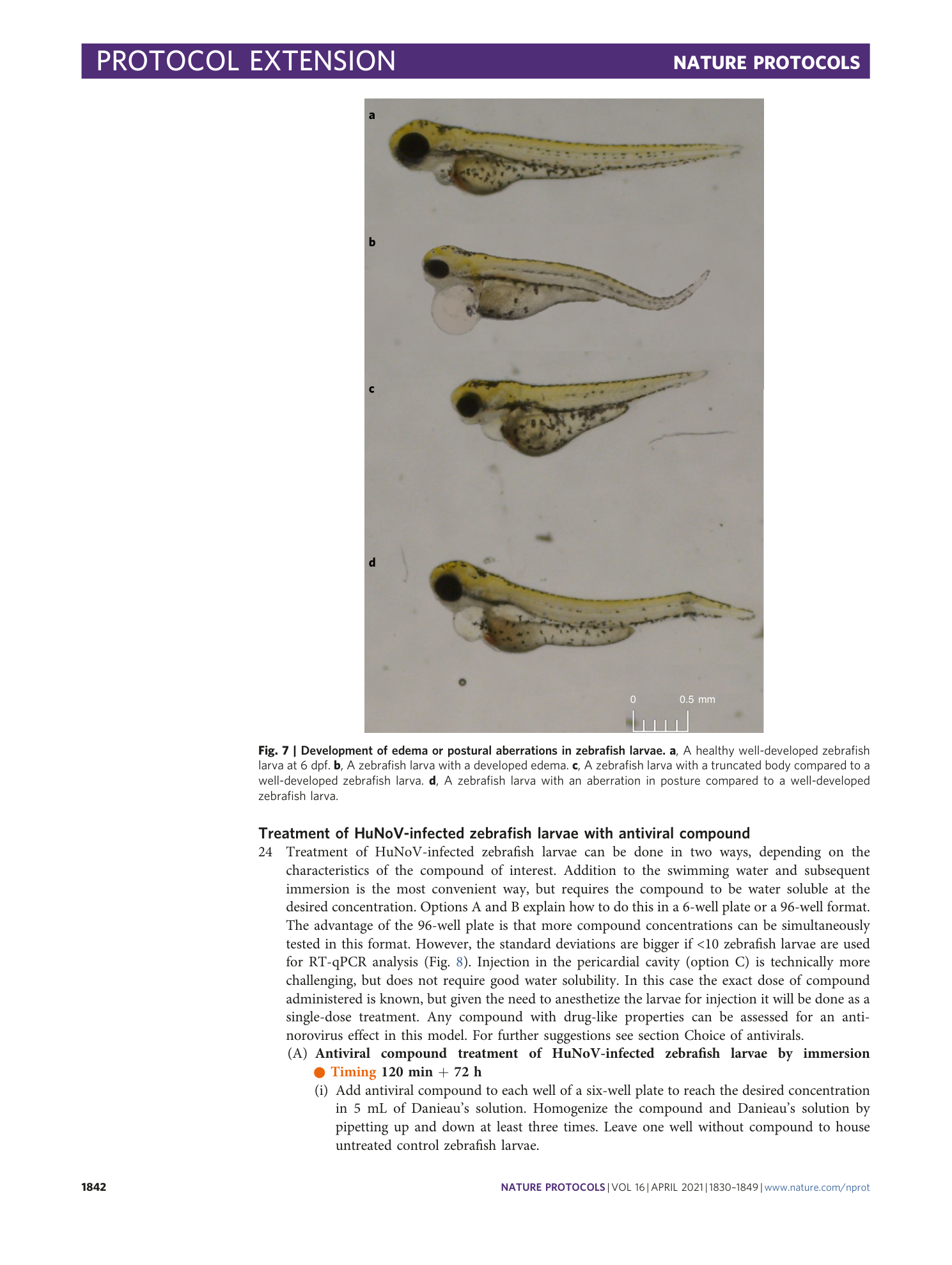 page-13