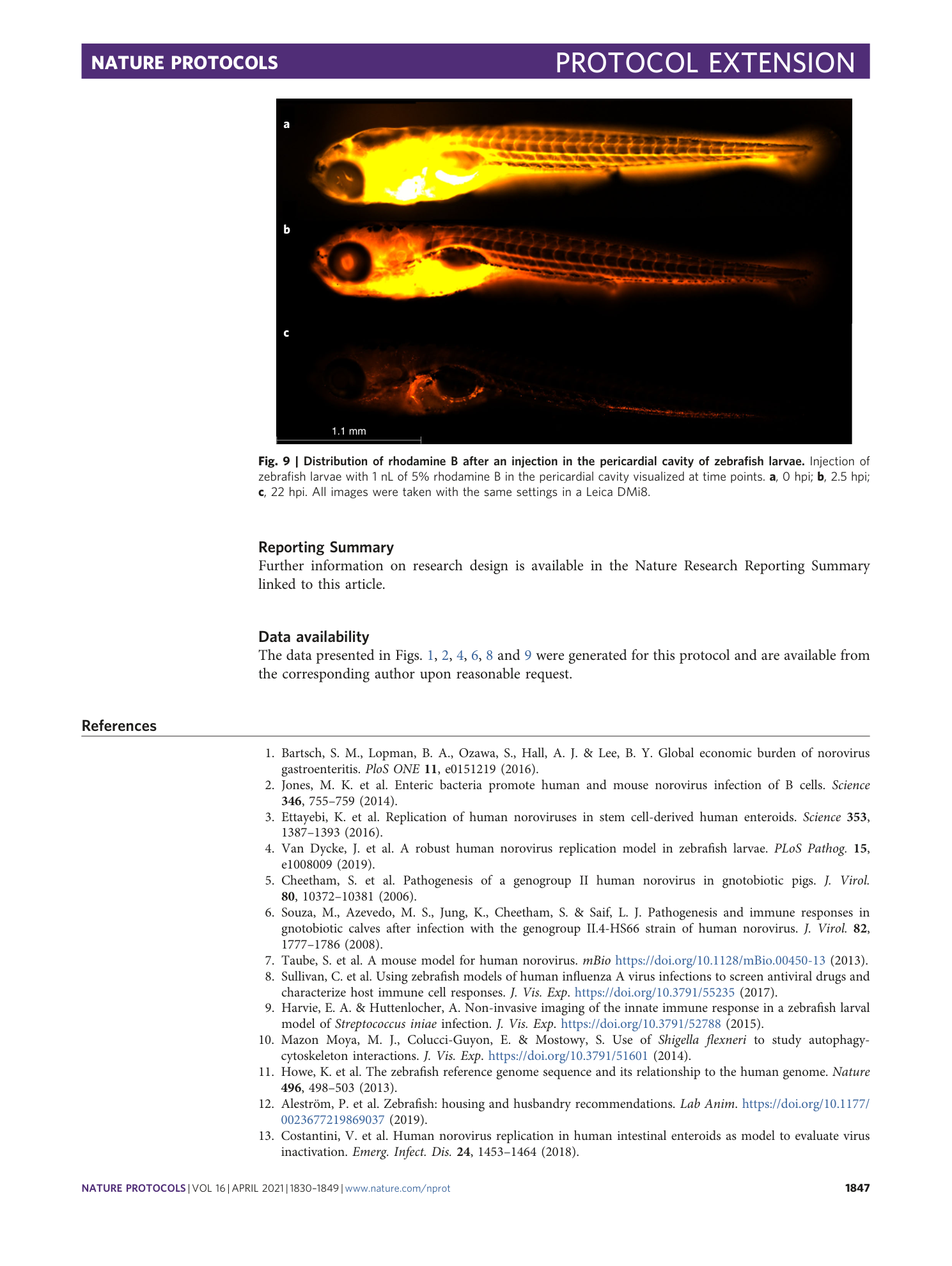 page-18