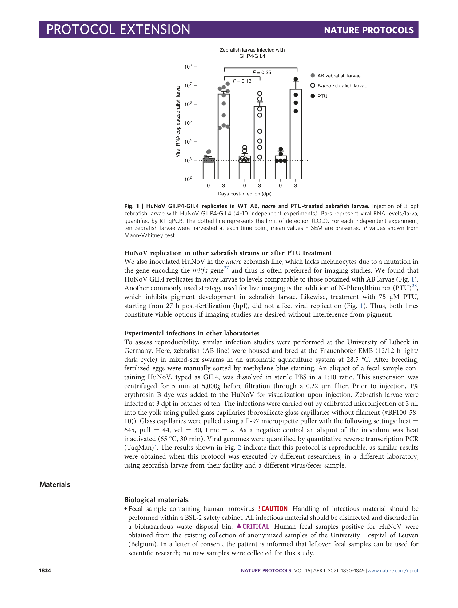page-5