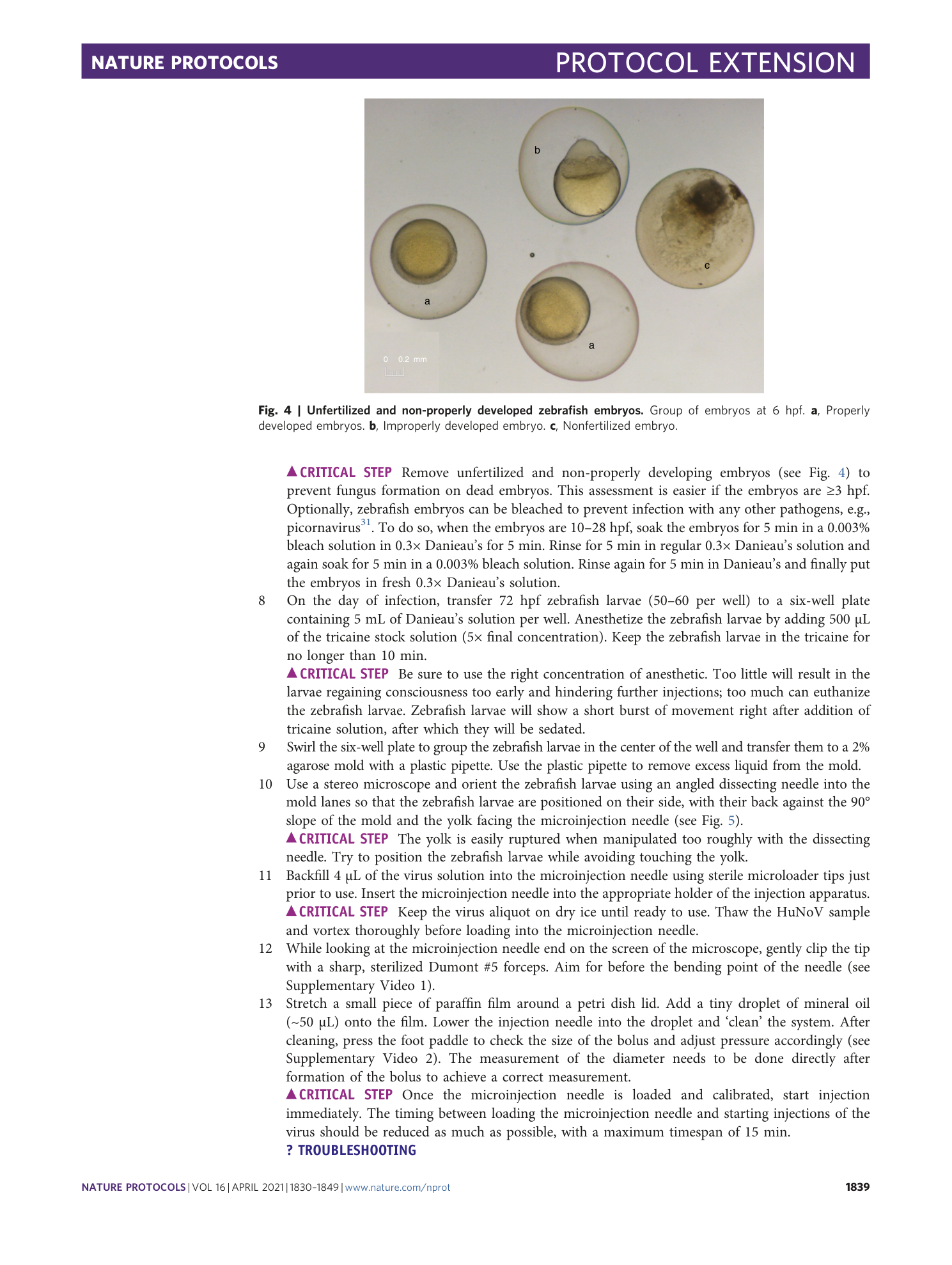 page-10
