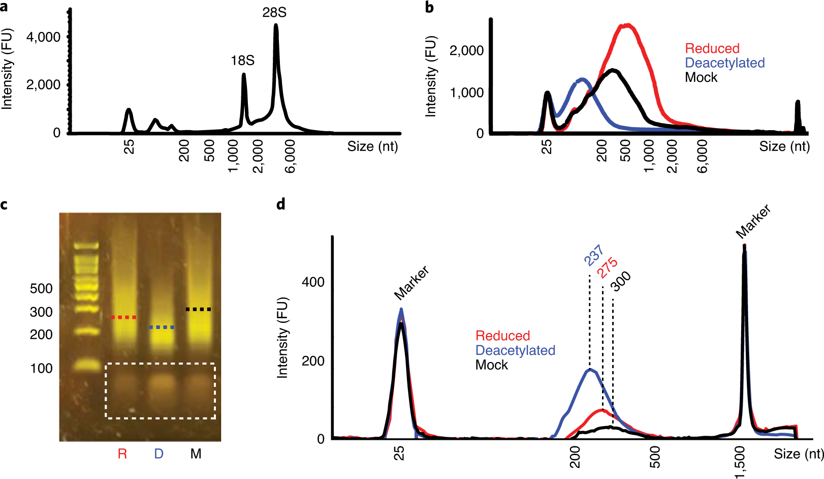 Fig. 4: Quality control of RNA and cDNA libraries.