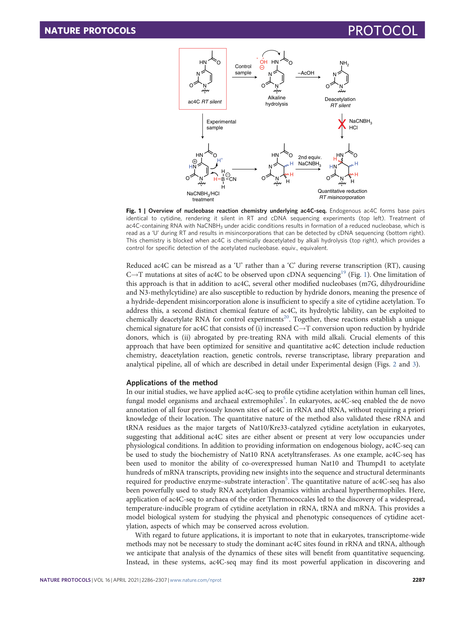 page-2