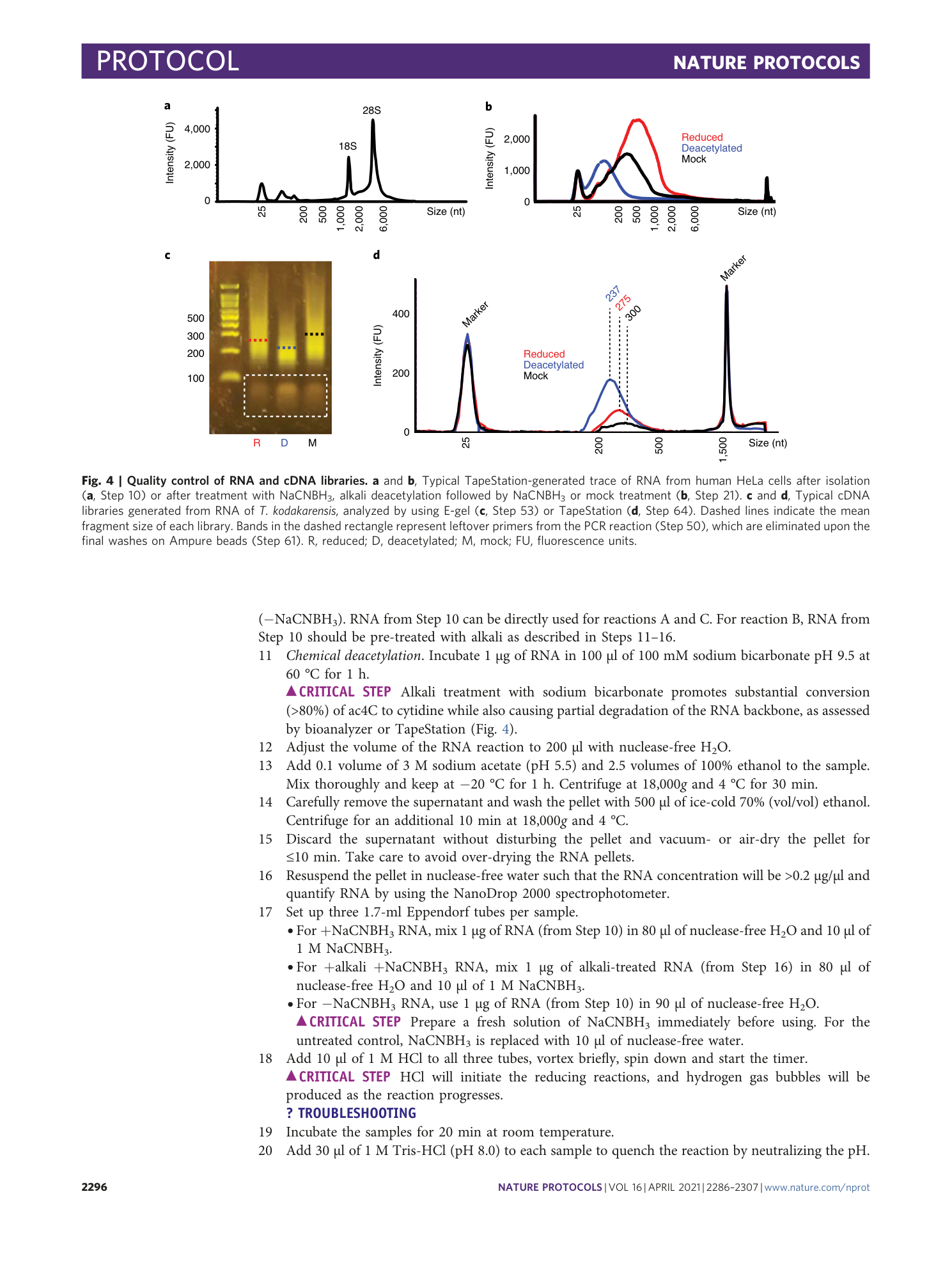 page-11