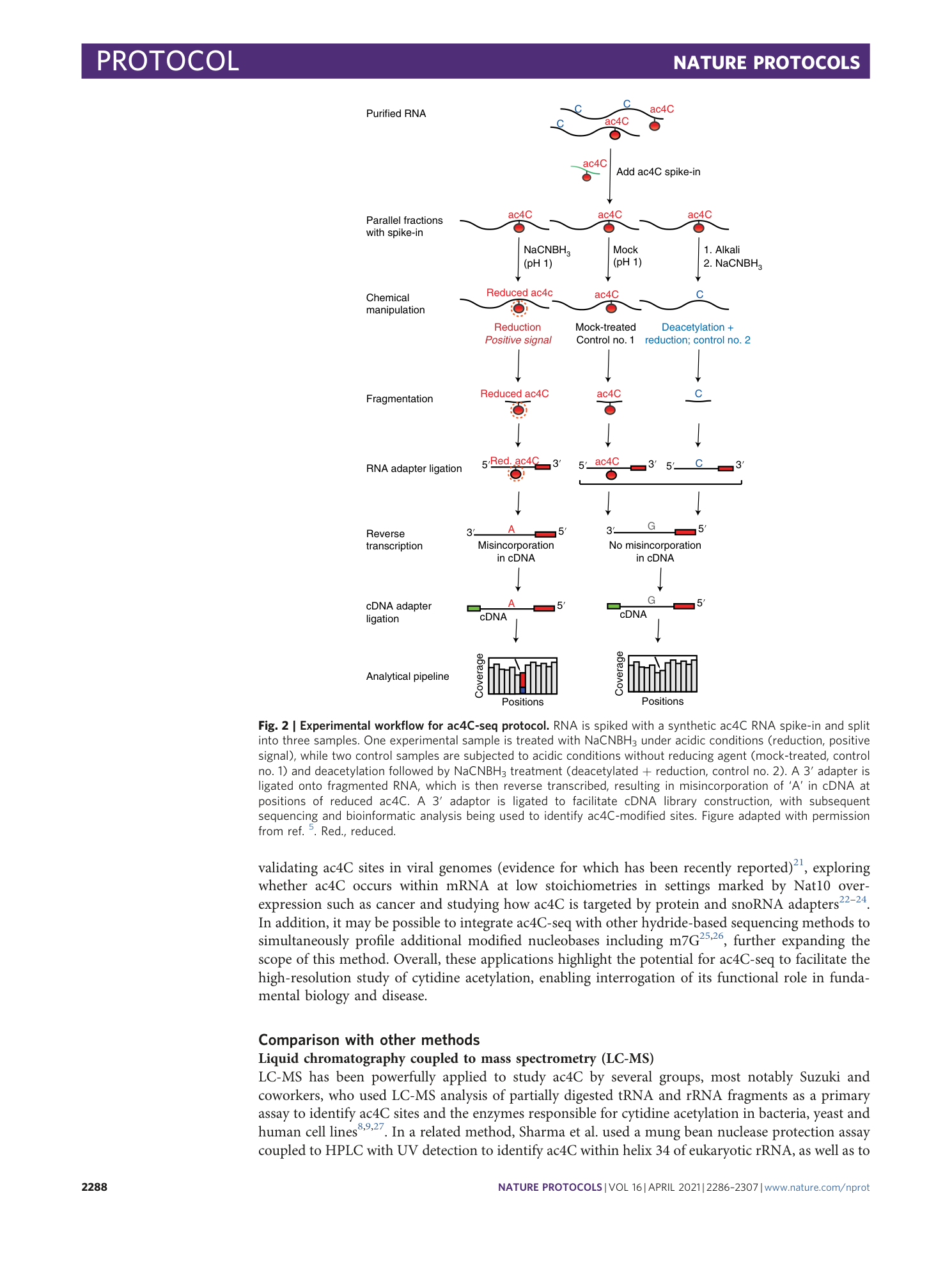 page-3