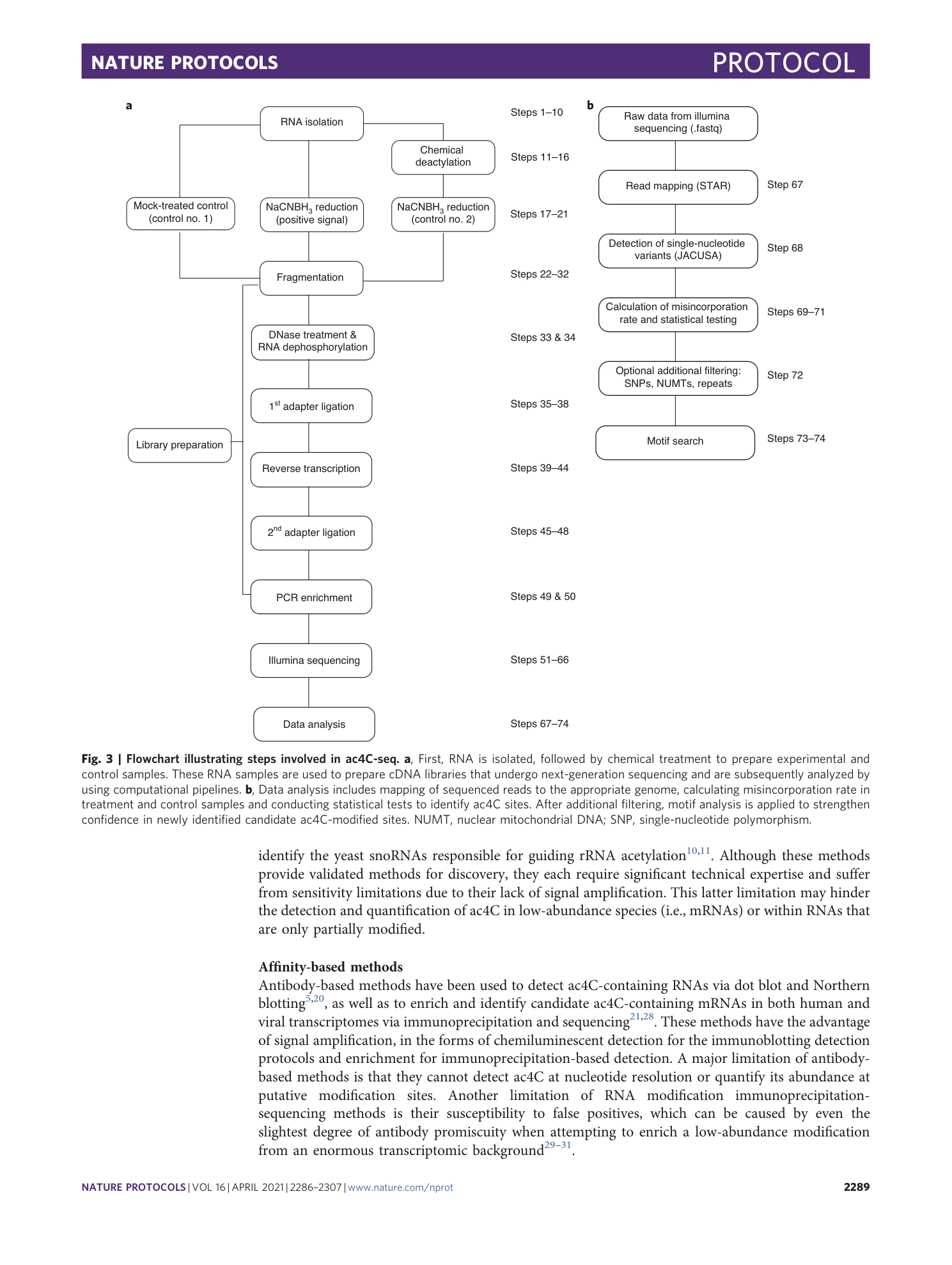 page-4