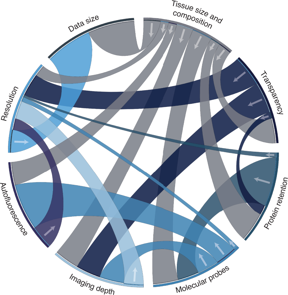 Fig. 2: Key interactions between variables in a tissue-clearing experiment requiring trade-offs.