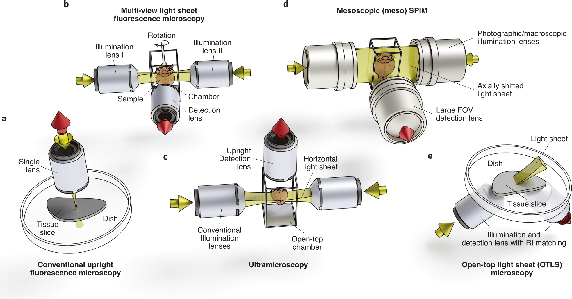 Fig. 4: Fluorescence microscopy imaging system geometries and features of microscopes commonly used for imaging cleared tissue.