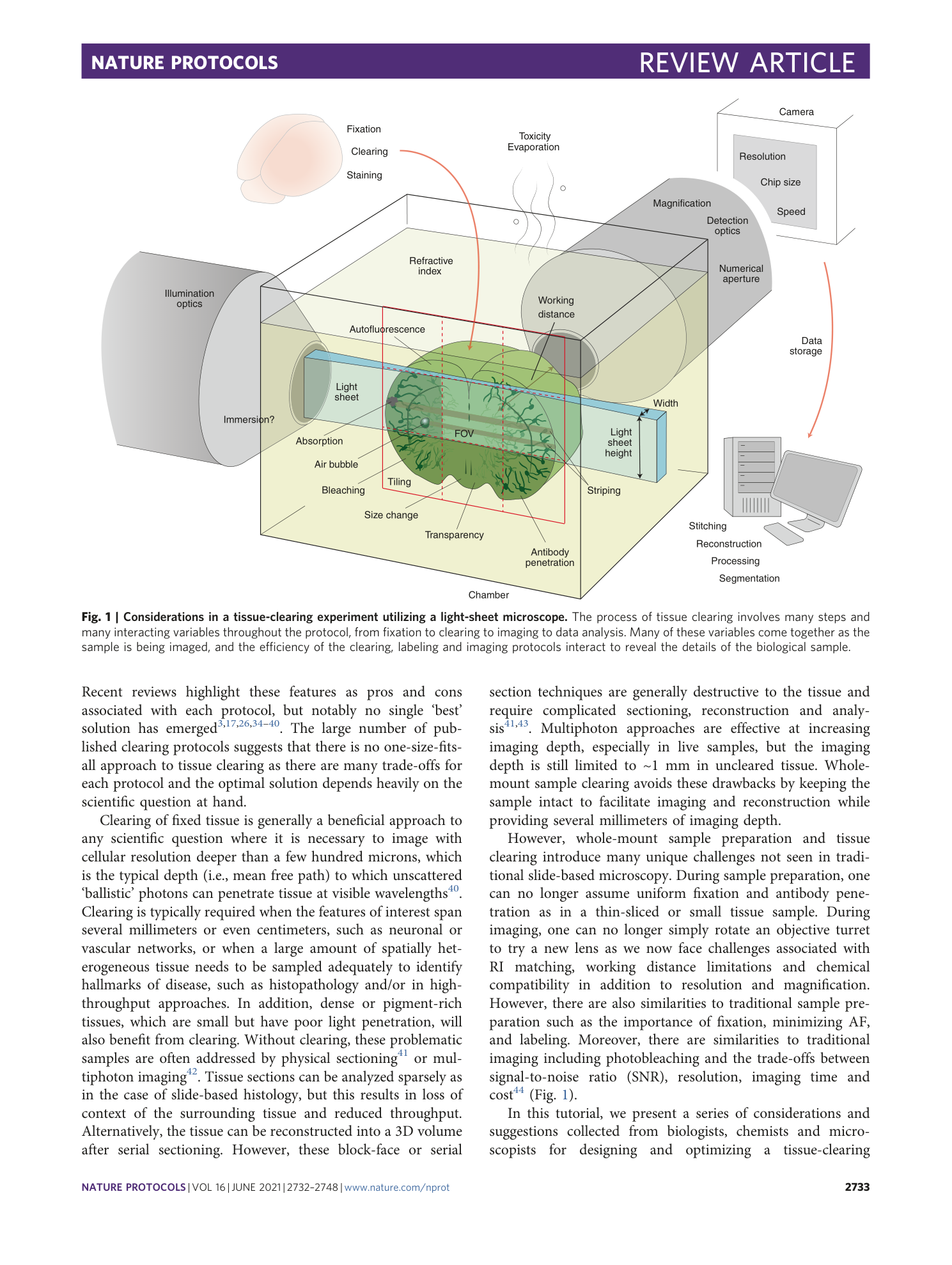 page-2