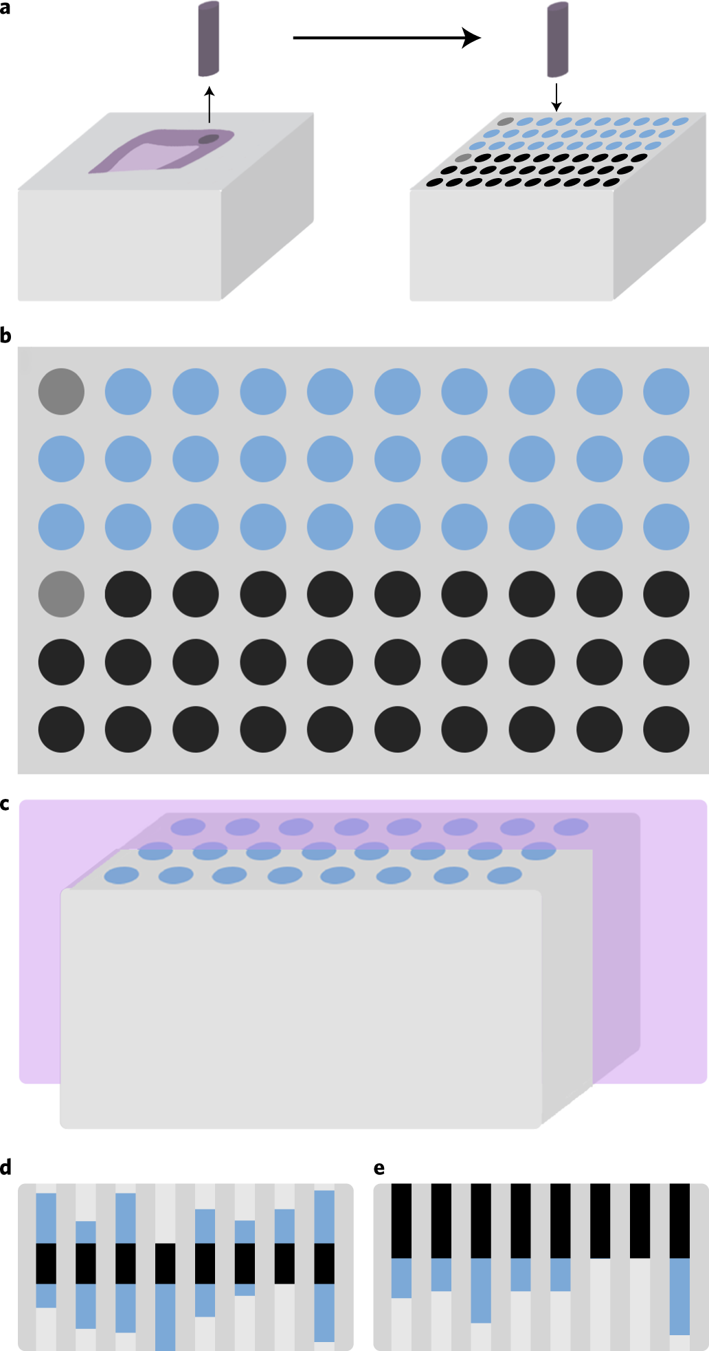 Fig. 2: Process of constructing TMAs.