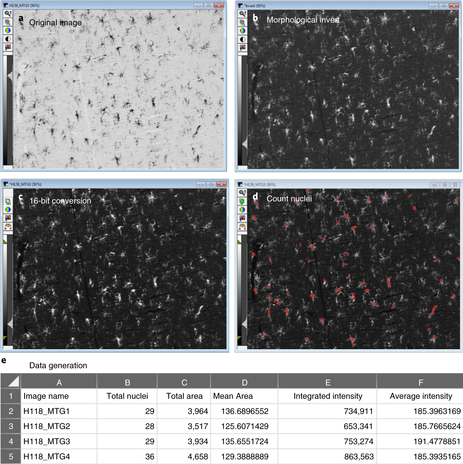 Fig. 5: Count nuclei: object number and protein expression (integrated intensity).
