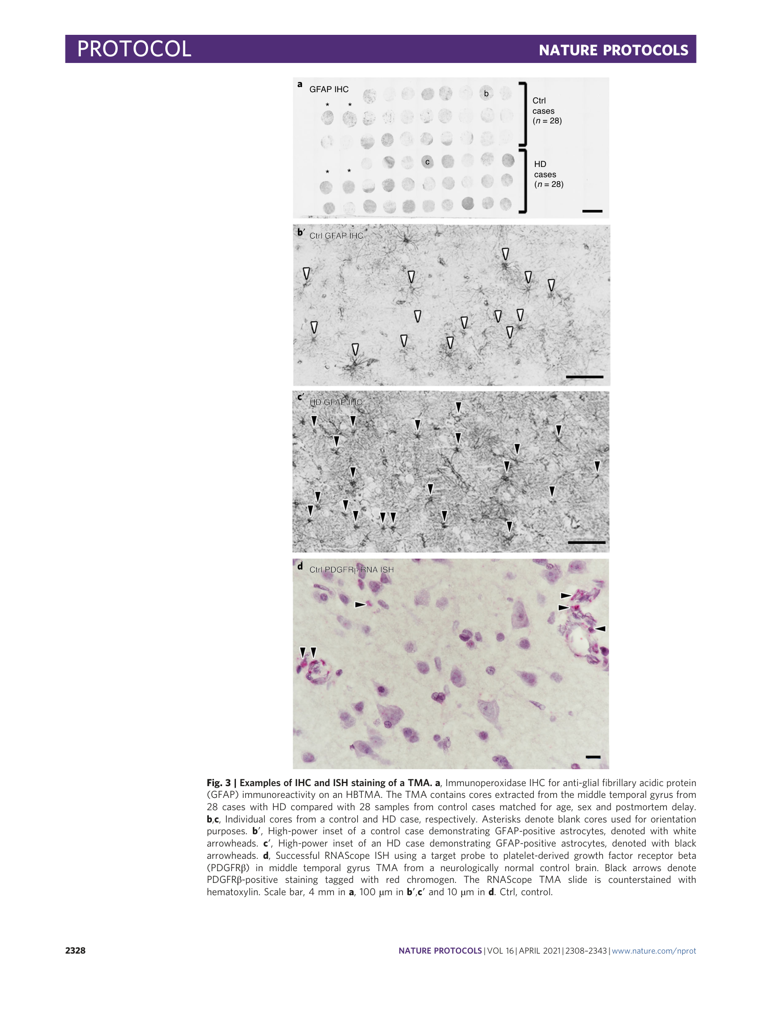 page-21