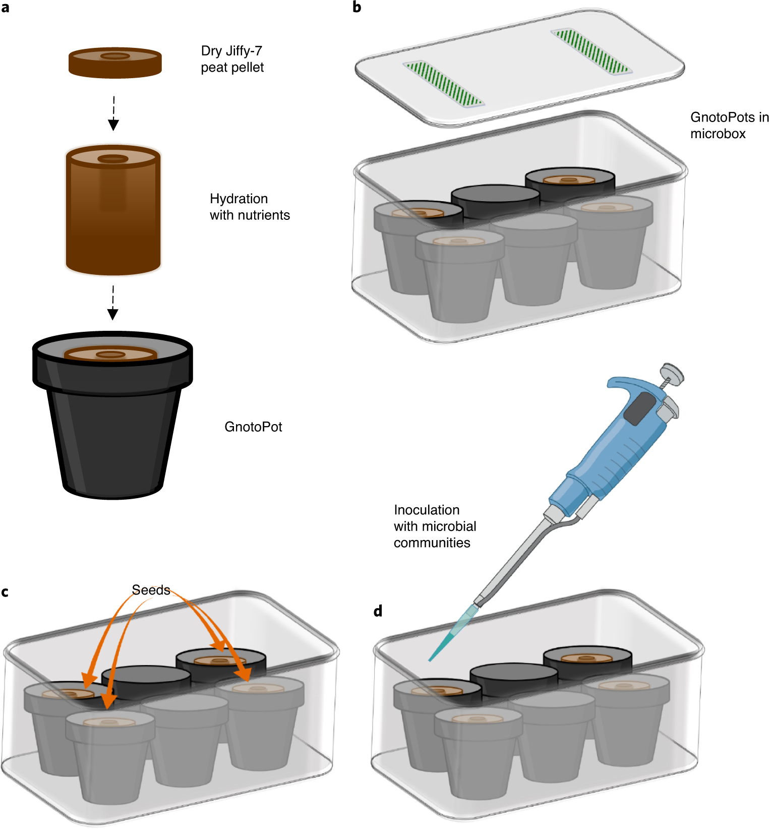 Fig. 2: Schematic illustration of the GnotoPot system.