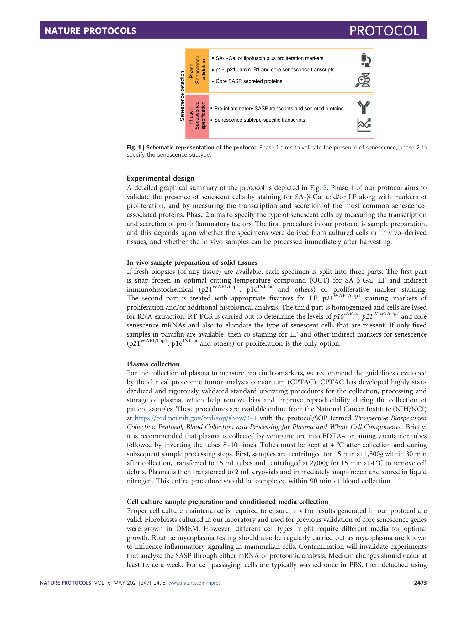 page-3