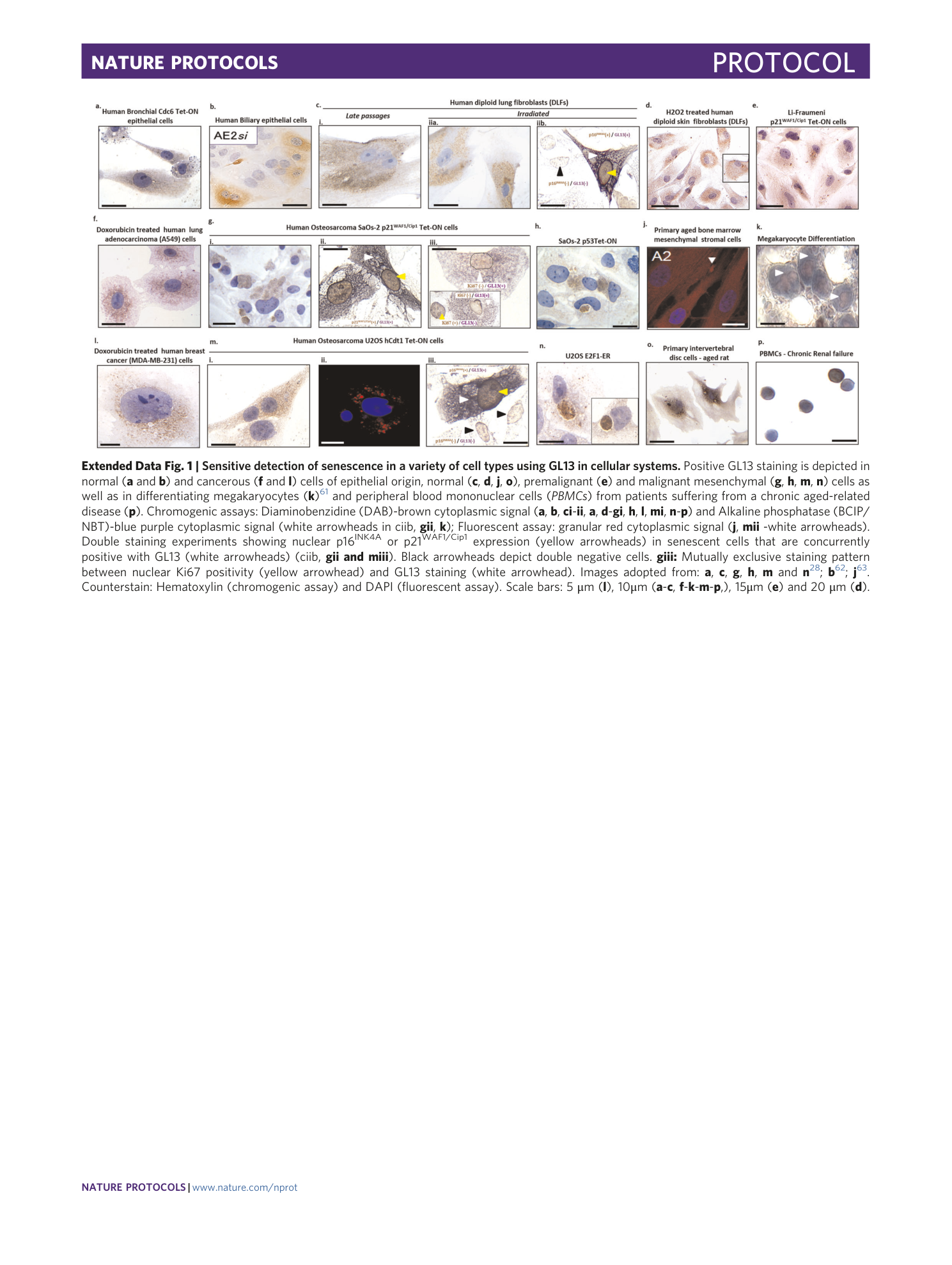 page-29