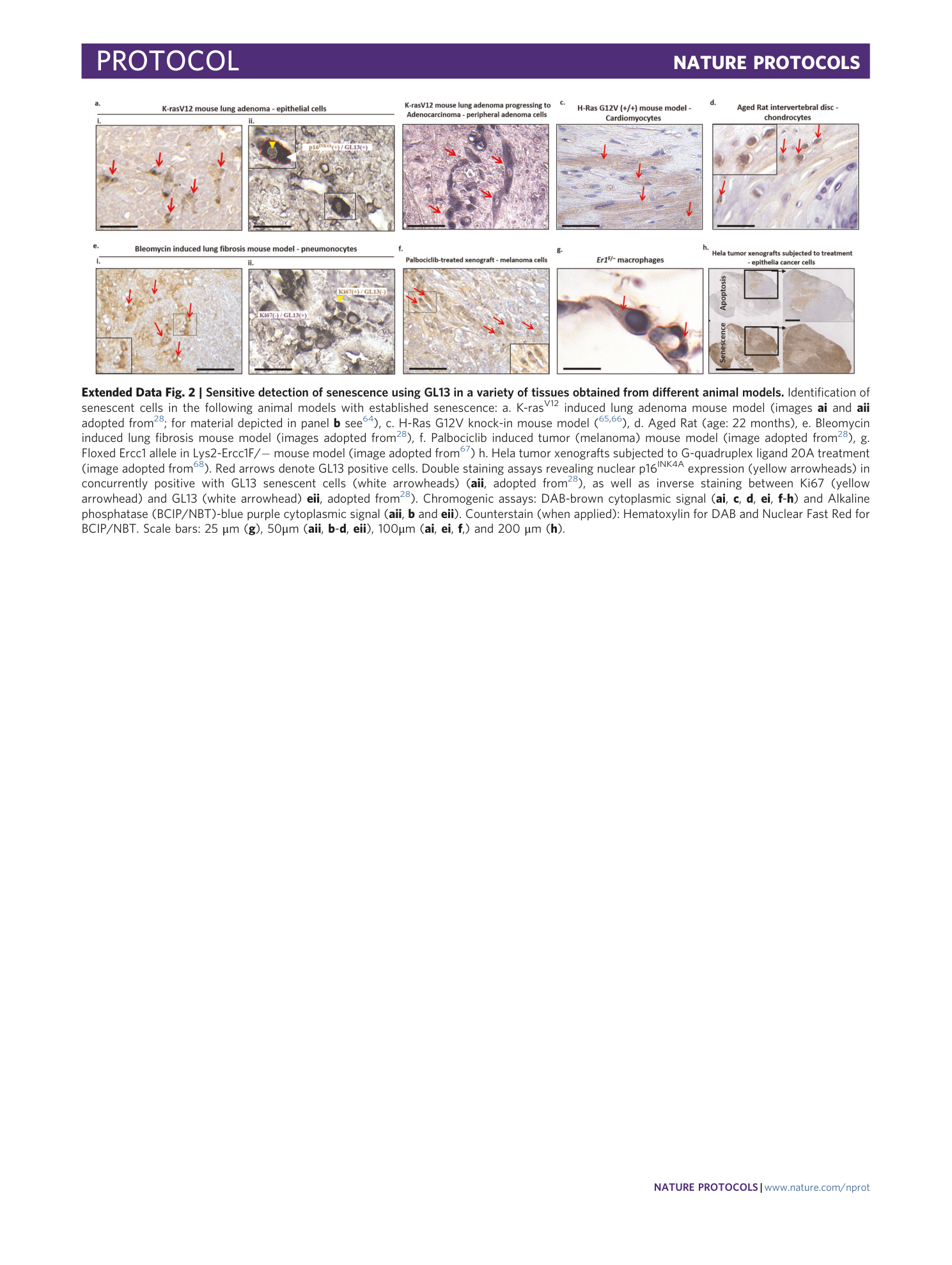 page-30