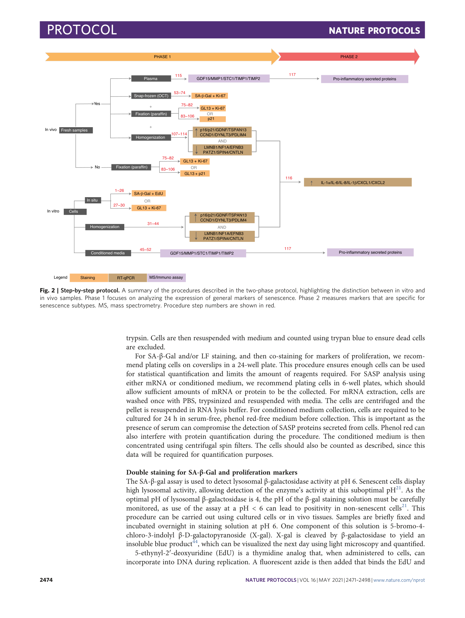 page-4